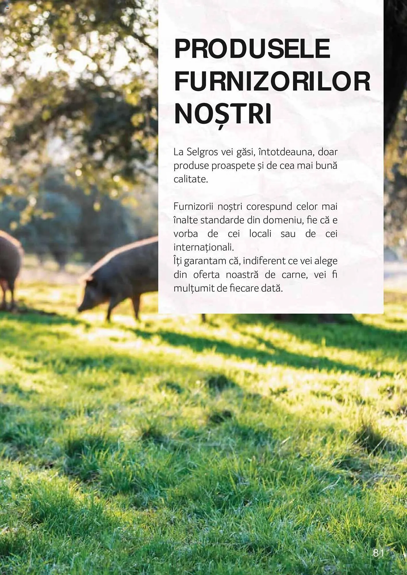 Catalog Selgros catalog de la 27 aprilie până la 31 decembrie 2023 - Revista Pagina 81