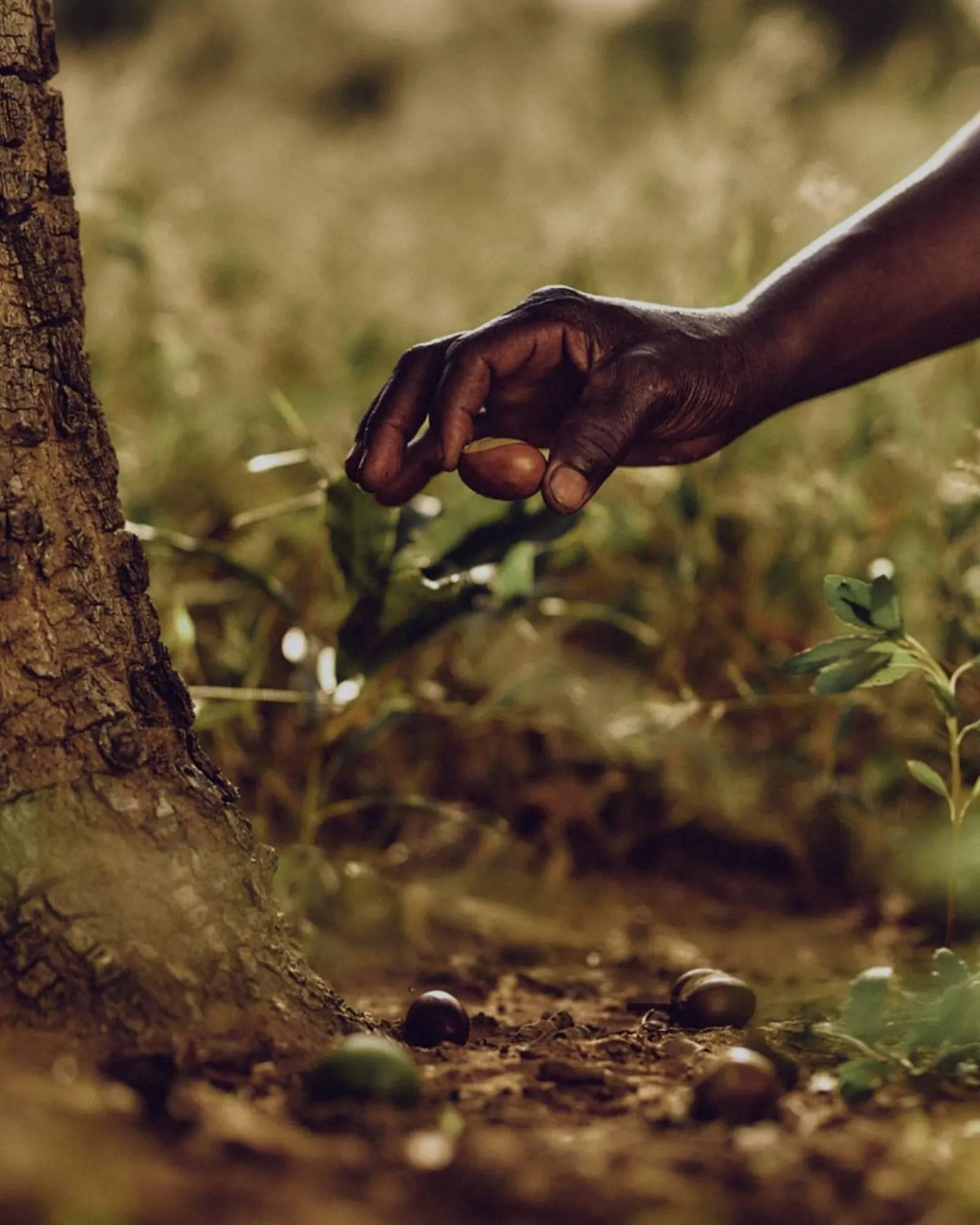 Catalog Catalog L'OCCITANE de la 9 mai până la 20 mai 2025 - Revista Pagina 4