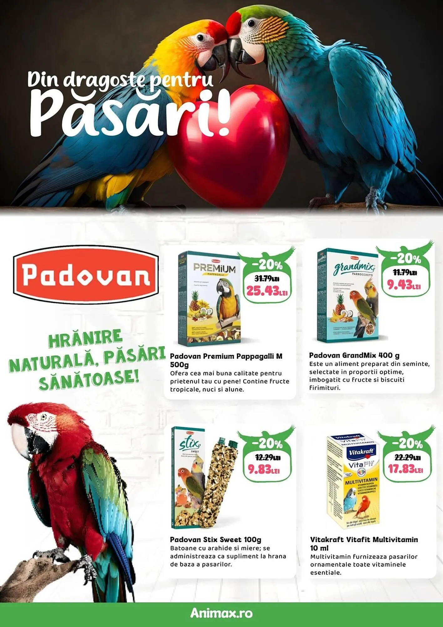 Catalog Magazine Animax de la 2 februarie până la 1 martie 2026 - Revista Pagina 22