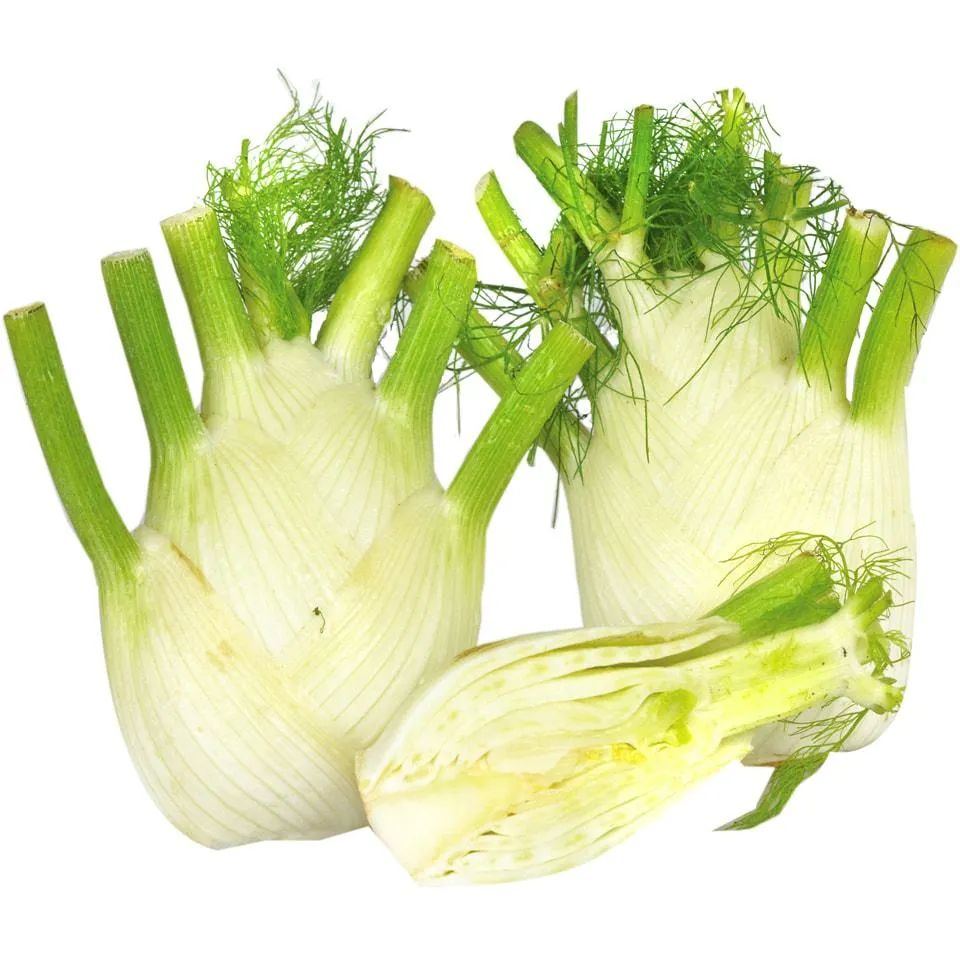 (vrac) | Fenicul, import