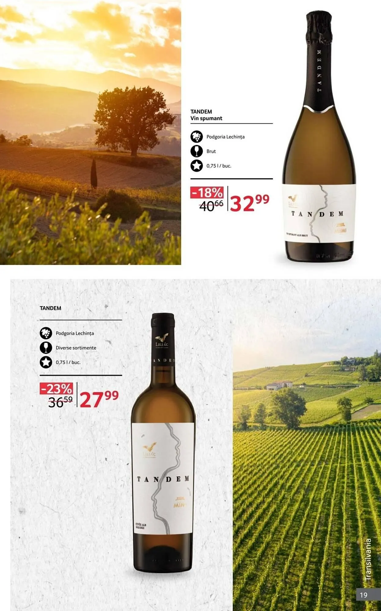 Catalog Catalog Selgros de la 1 octombrie până la 31 octombrie 2025 - Revista Pagina 19