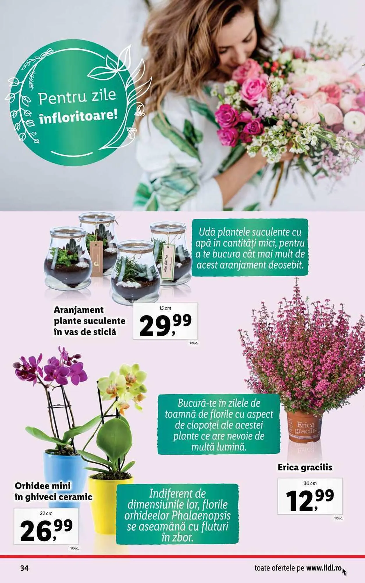 Catalog Lidl catalog de la 4 septembrie până la 10 septembrie 2023 - Revista Pagina 34