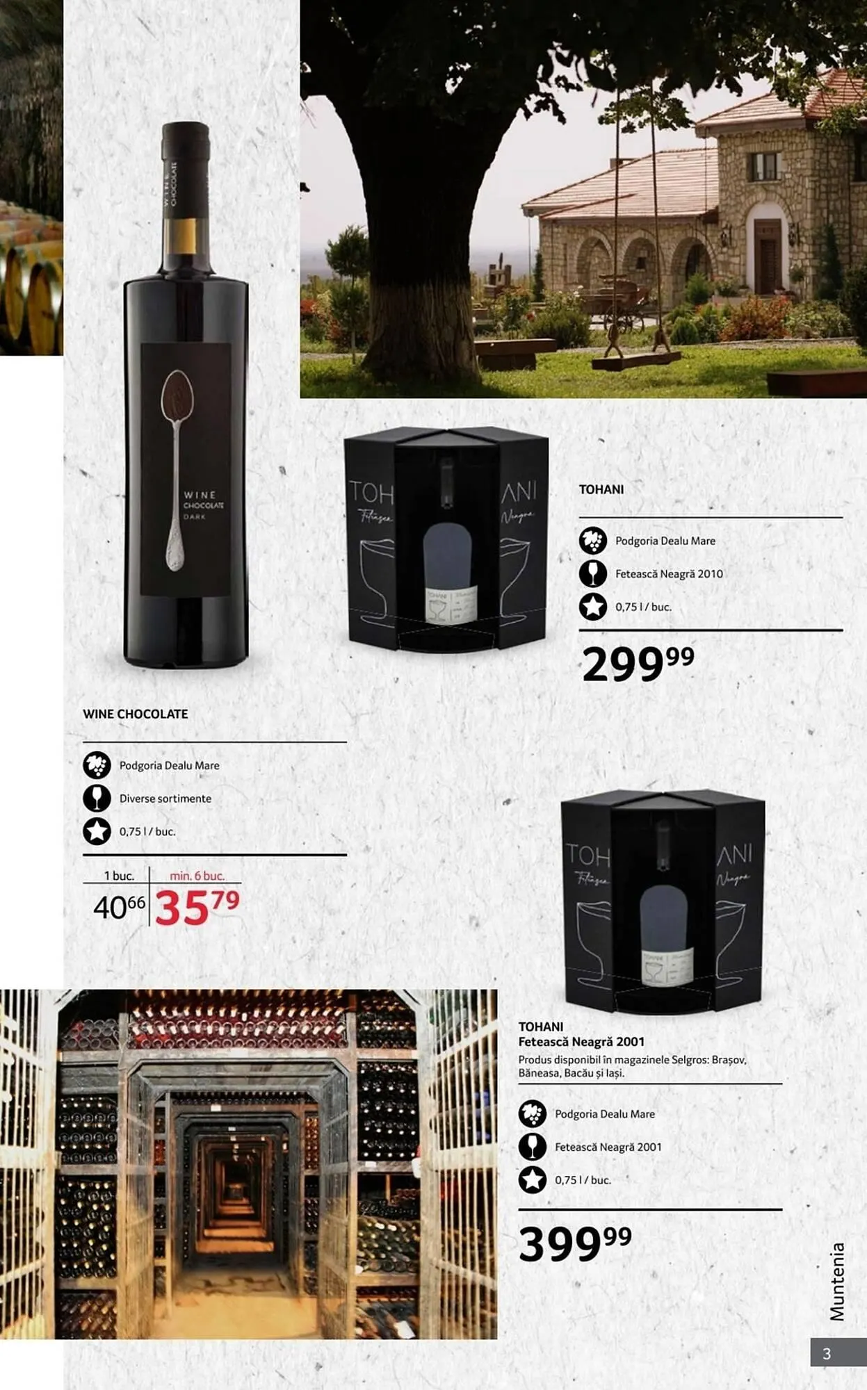 Catalog Catalog Selgros de la 1 octombrie până la 31 octombrie 2025 - Revista Pagina 3