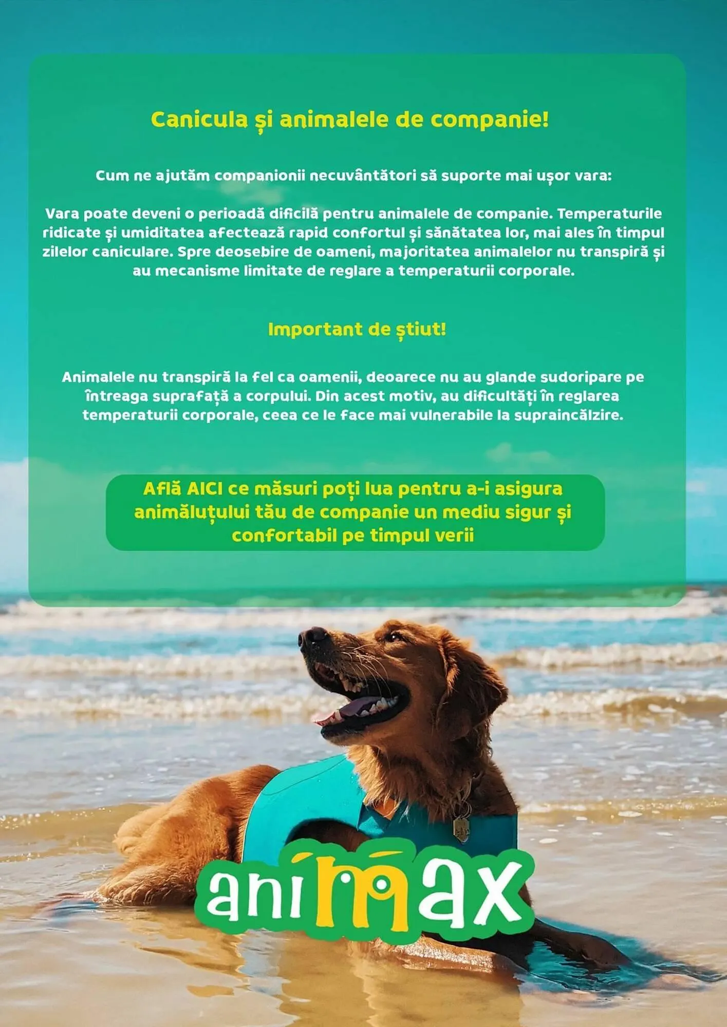 Catalog Catalog Animax de la 1 iulie până la 31 iulie 2025 - Revista Pagina 11