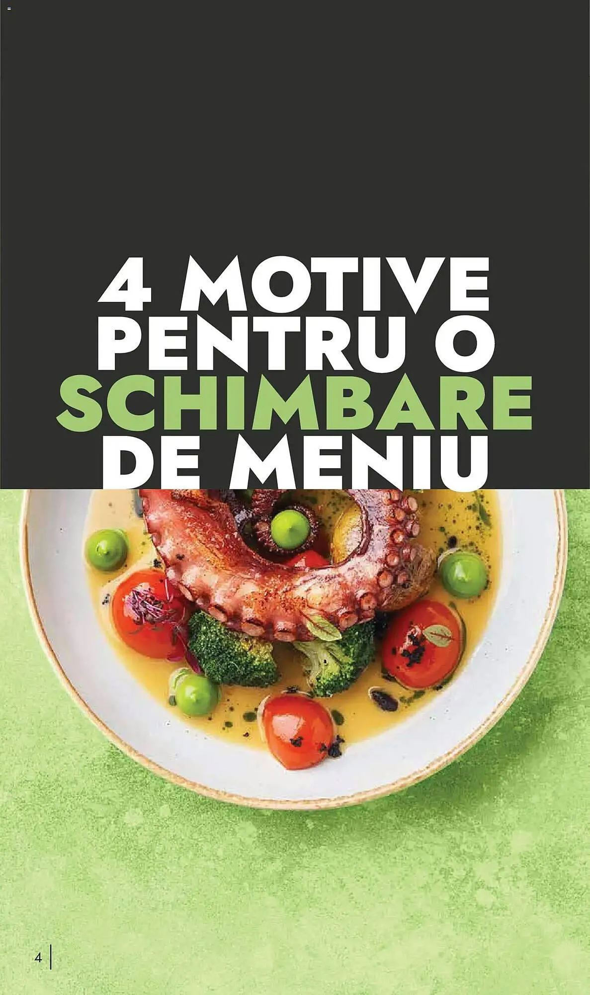 Catalog Catalog Metro de la 9 noiembrie până la 31 decembrie 2026 - Revista Pagina 4