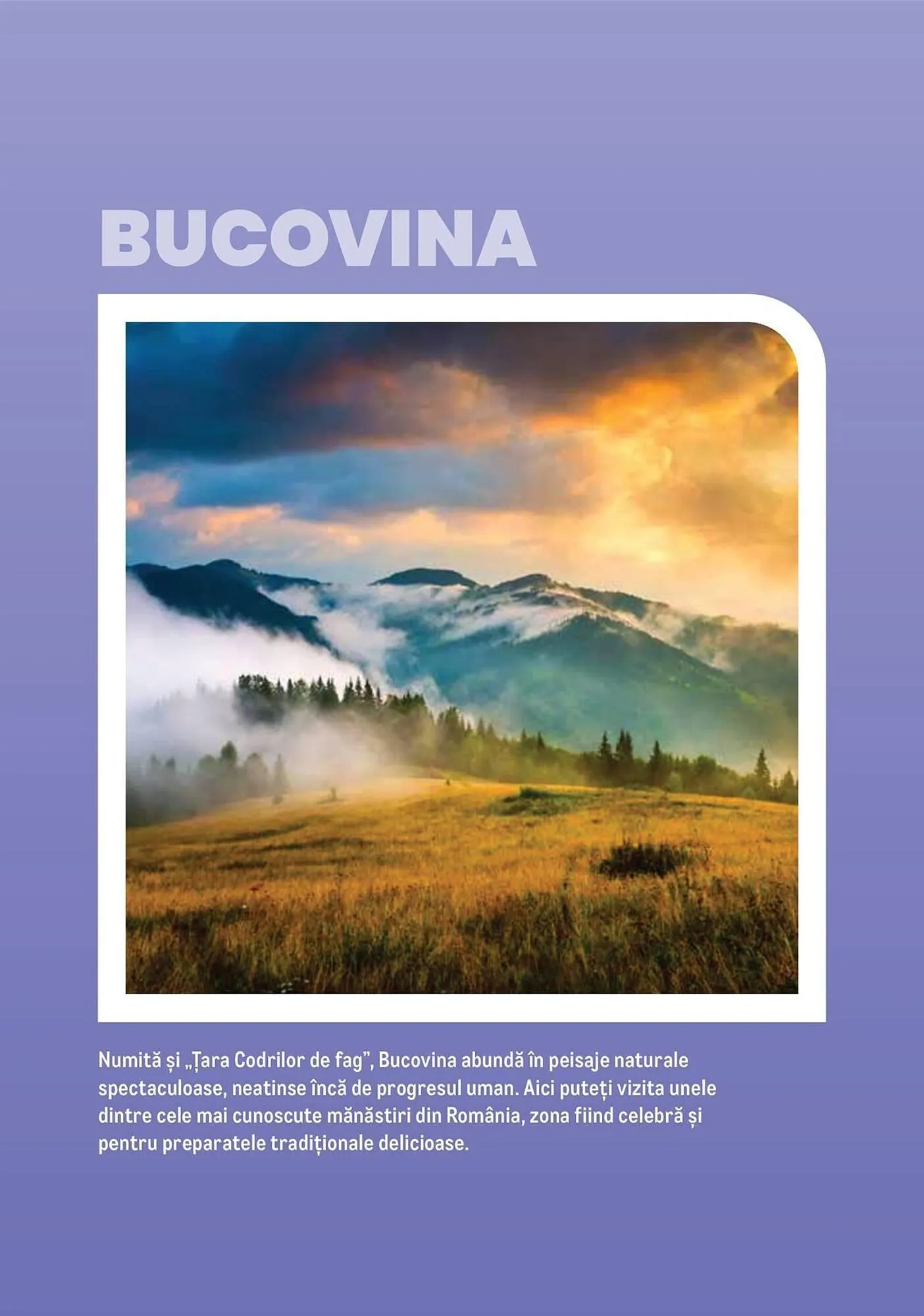 Catalog Catalog Metro de la 9 aprilie până la 31 decembrie 2025 - Revista Pagina 84