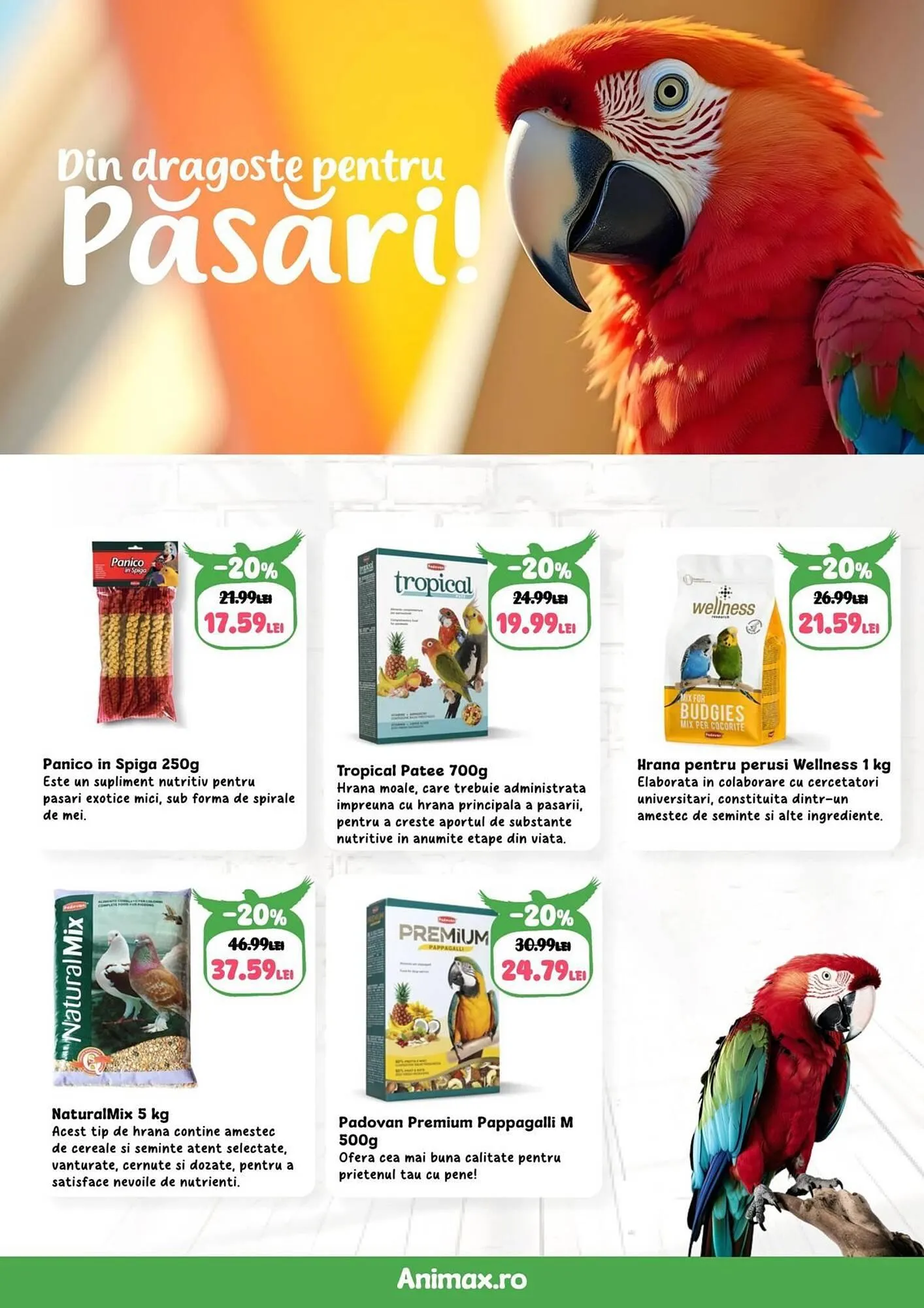 Catalog Catalog Animax de la 1 mai până la 2 iunie 2025 - Revista Pagina 22