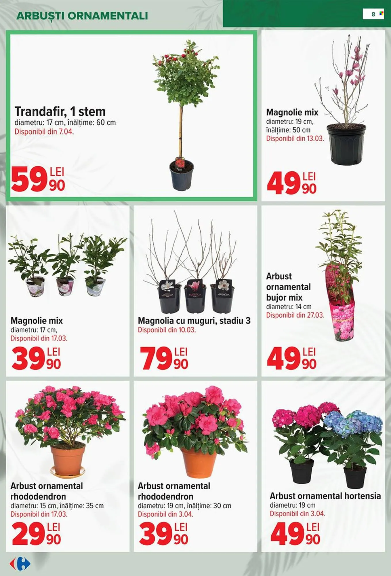 Catalog Catalog Carrefour de la 11 februarie până la 14 aprilie 2026 - Revista Pagina 8