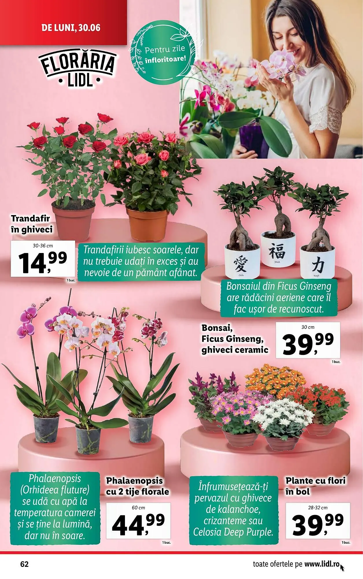 Catalog Catalog Lidl de la 30 iunie până la 6 iulie 2025 - Revista Pagina 62