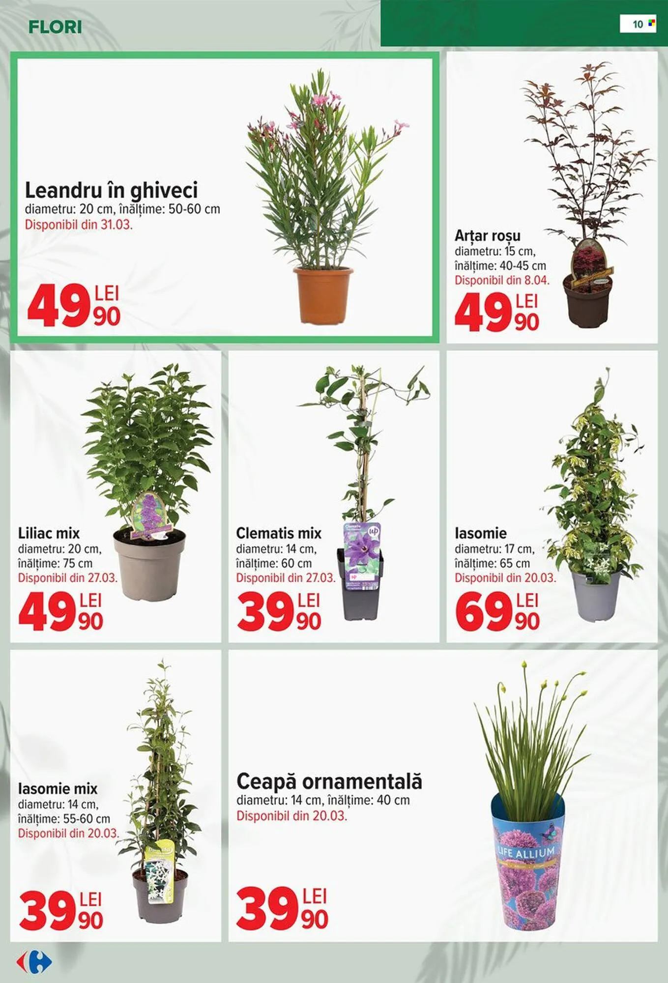 Catalog Catalog Carrefour de la 11 februarie până la 14 aprilie 2026 - Revista Pagina 10