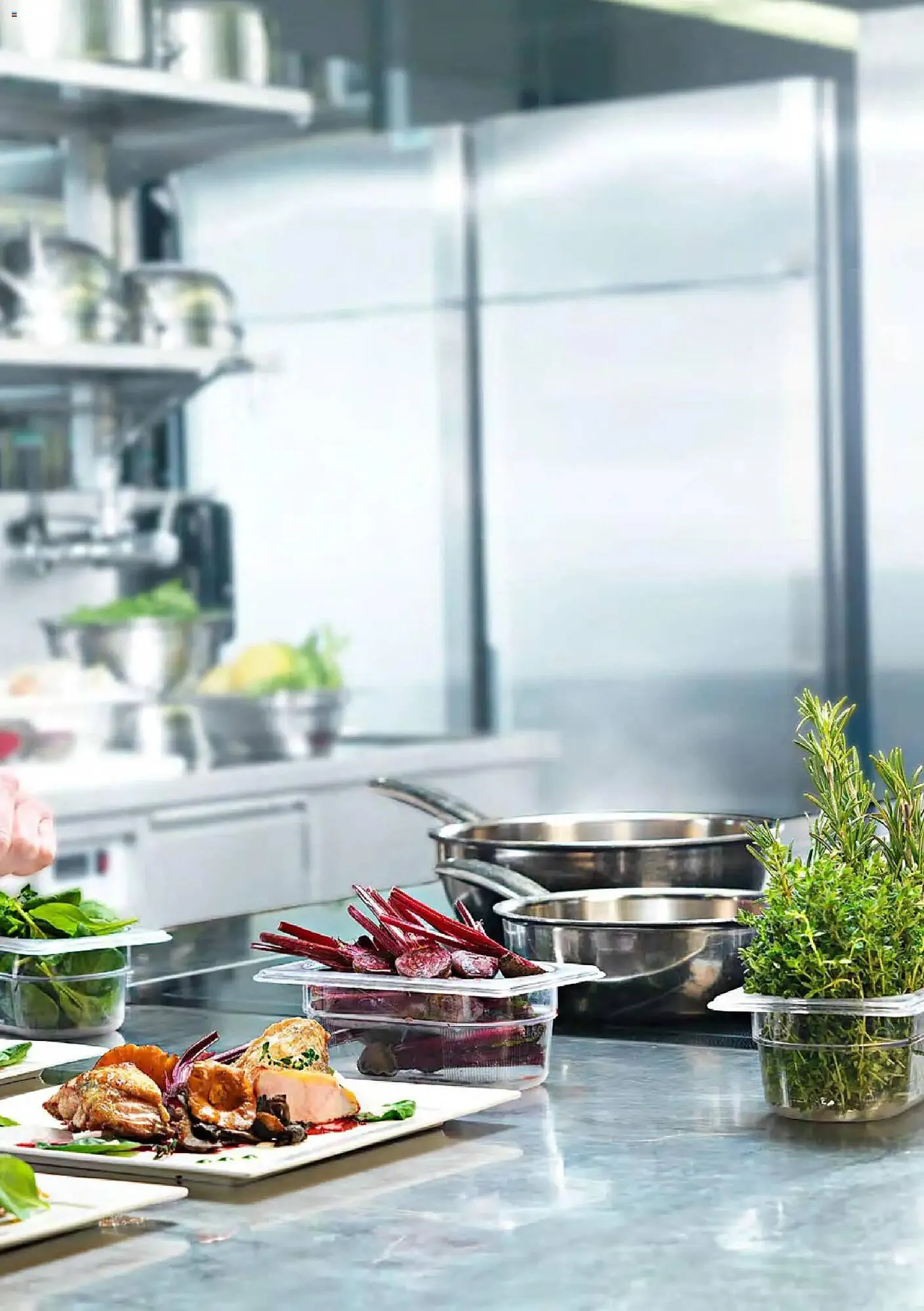 Catalog Catalog Selgros de la 29 ianuarie până la 31 ianuarie 2027 - Revista Pagina 47