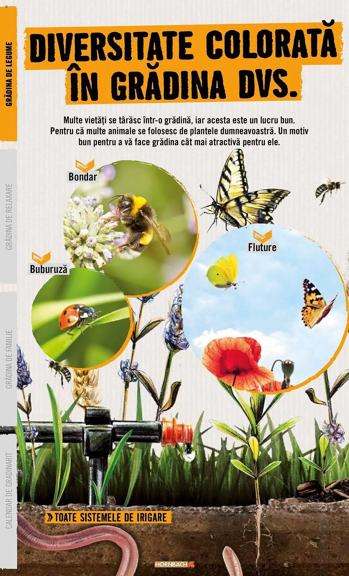 Catalog Сatalog Hornbach de la 22 aprilie până la 31 decembrie 2024 - Revista Pagina 12