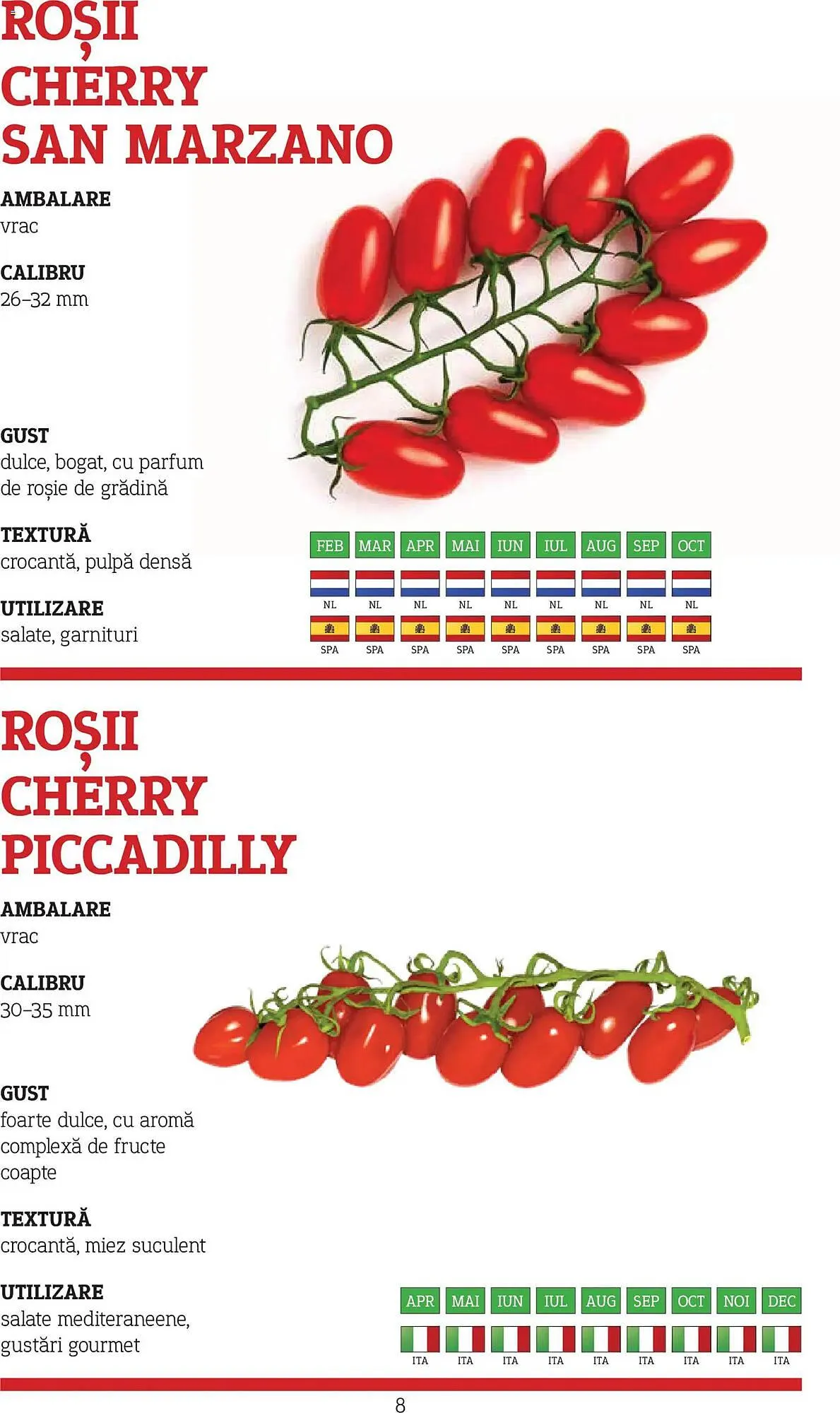 Catalog Catalog Metro de la 9 noiembrie până la 31 decembrie 2026 - Revista Pagina 8