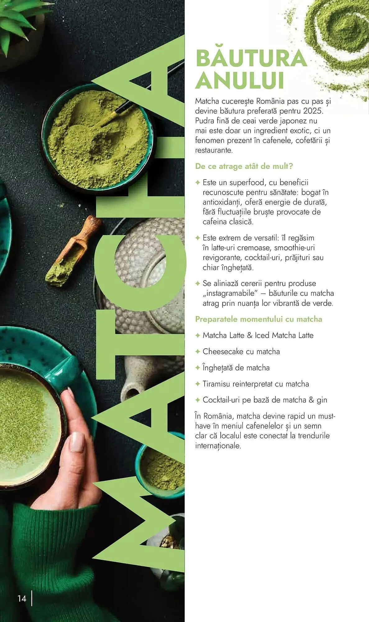 Catalog Catalog Metro de la 9 noiembrie până la 31 decembrie 2026 - Revista Pagina 14