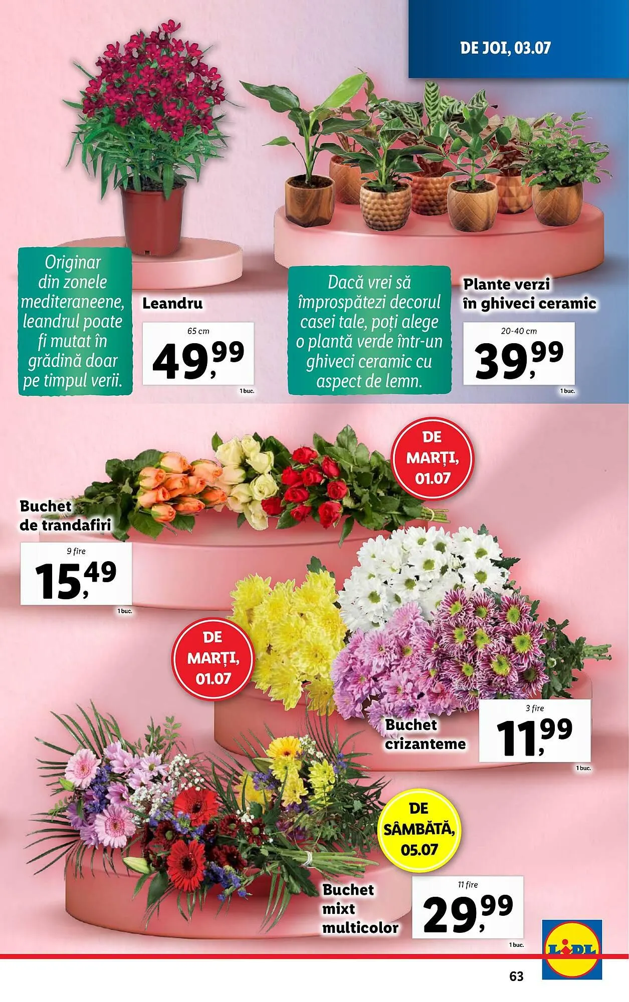 Catalog Catalog Lidl de la 30 iunie până la 6 iulie 2025 - Revista Pagina 63