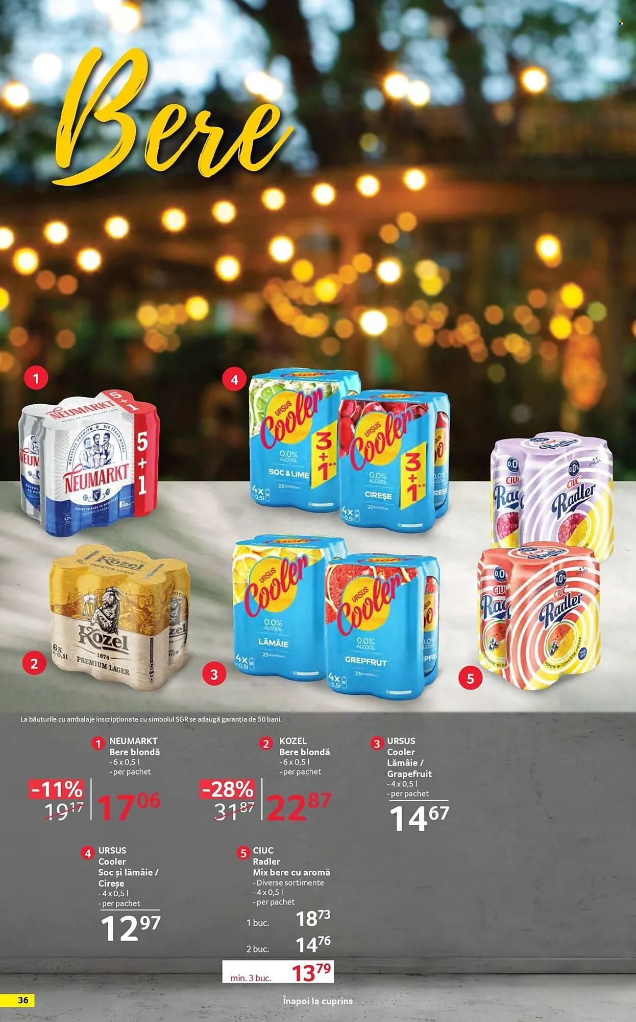 Catalog Catalog Selgros de la 17 aprilie până la 14 mai 2026 - Revista Pagina 36