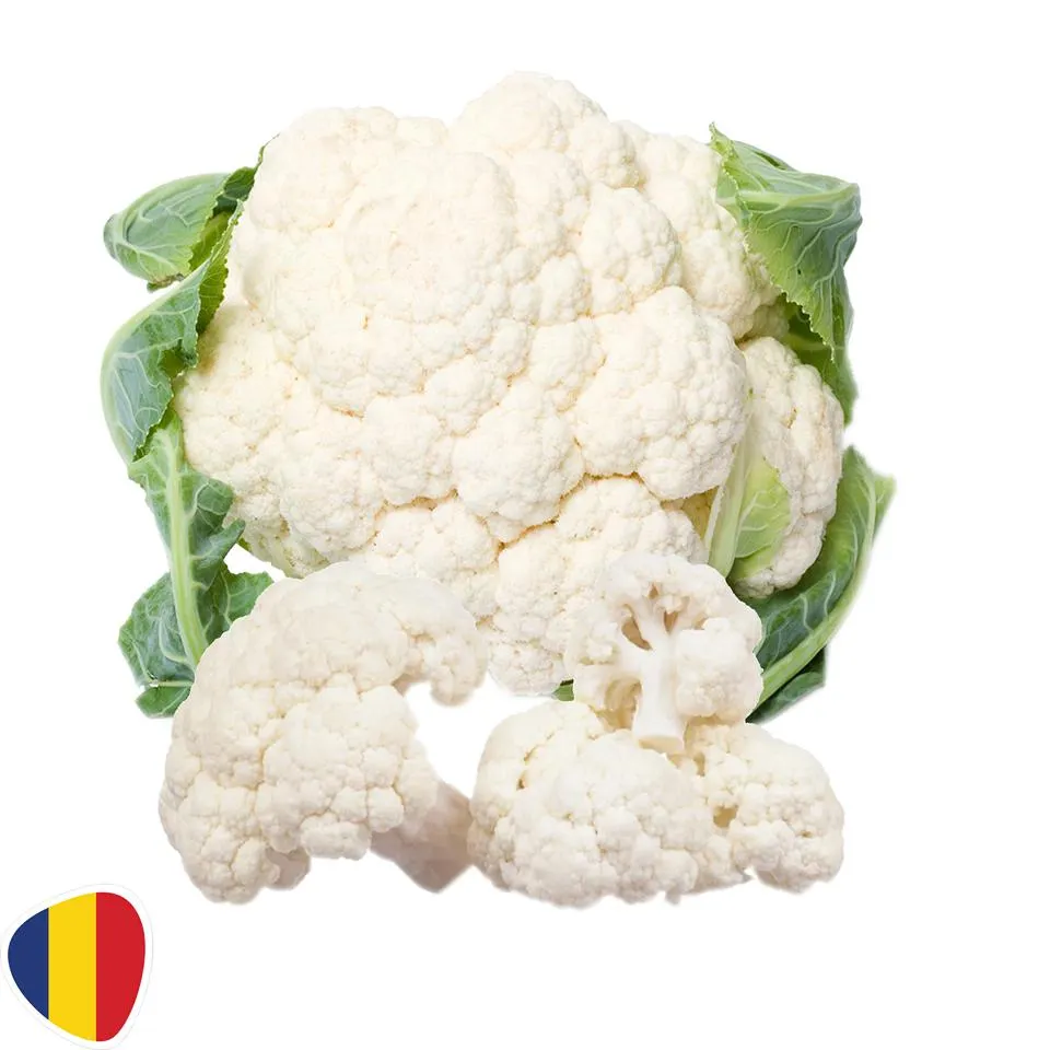 (vrac) | Conopida, Romania