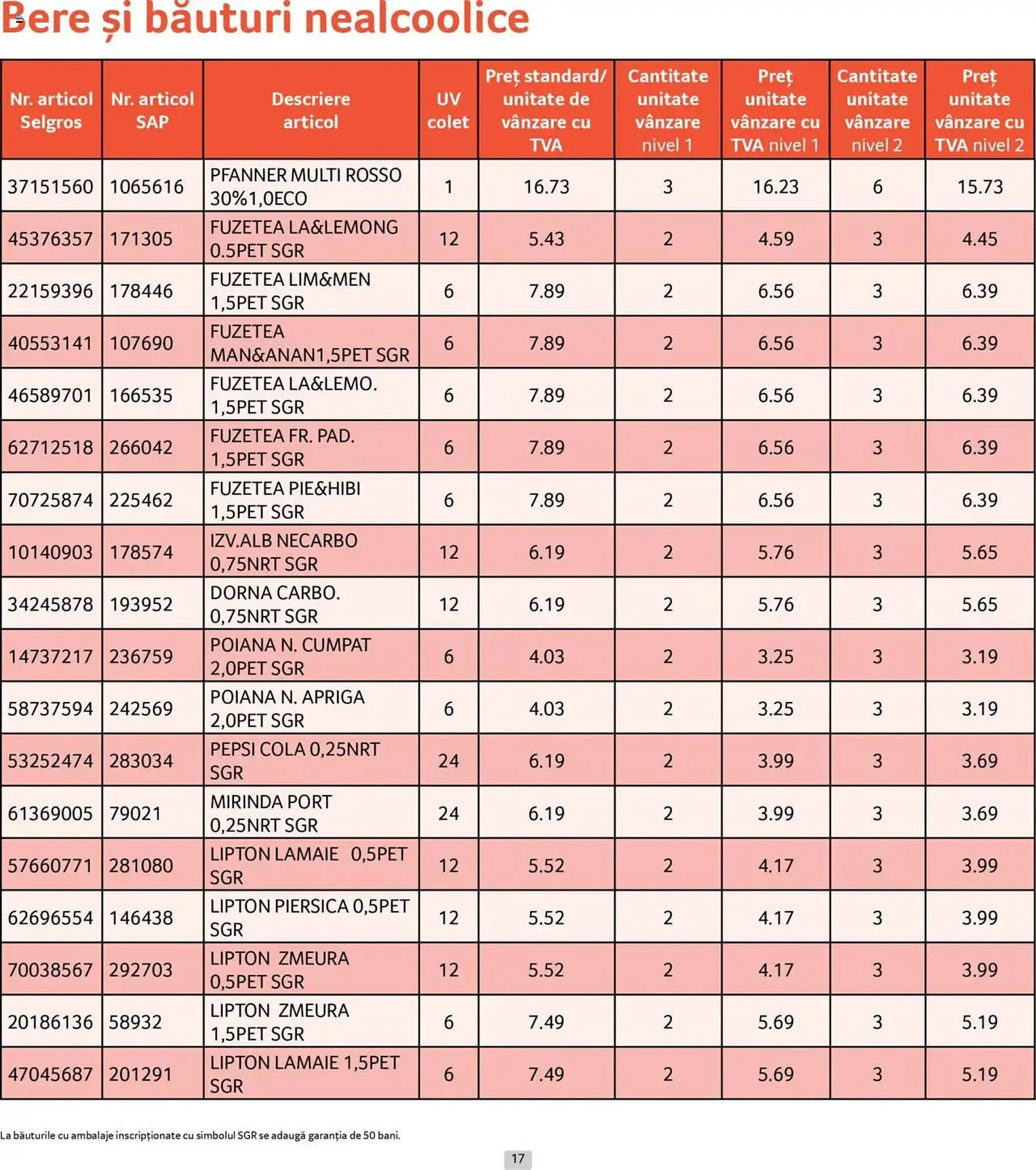 Catalog Catalog Selgros de la 1 iunie până la 30 iunie 2025 - Revista Pagina 17