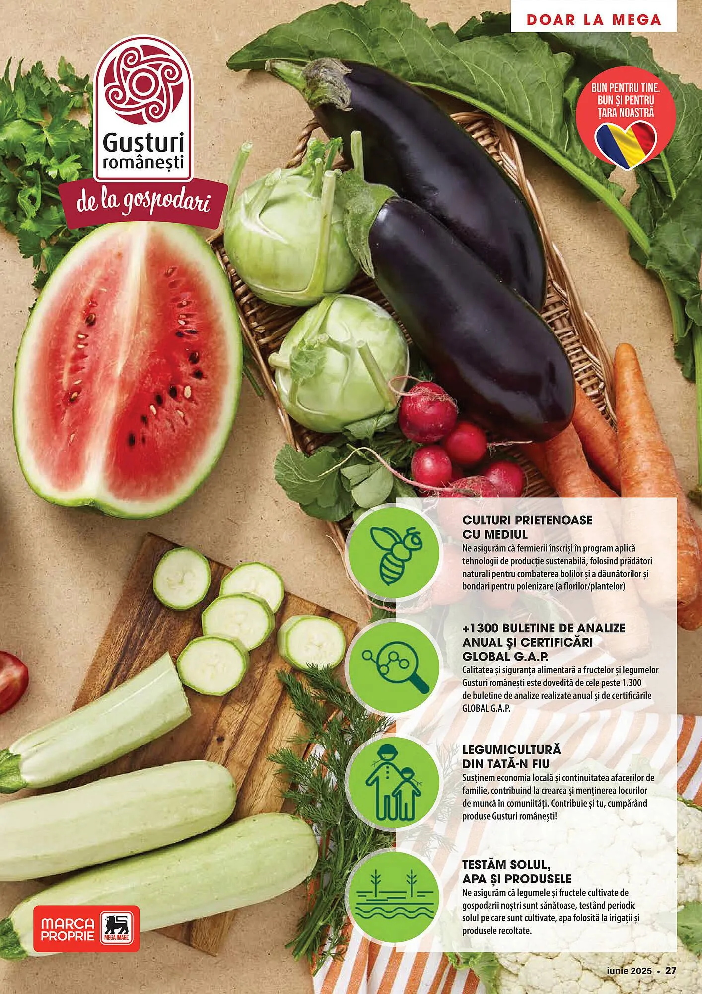 Catalog Catalog Mega Image de la 1 iunie până la 30 iunie 2025 - Revista Pagina 27