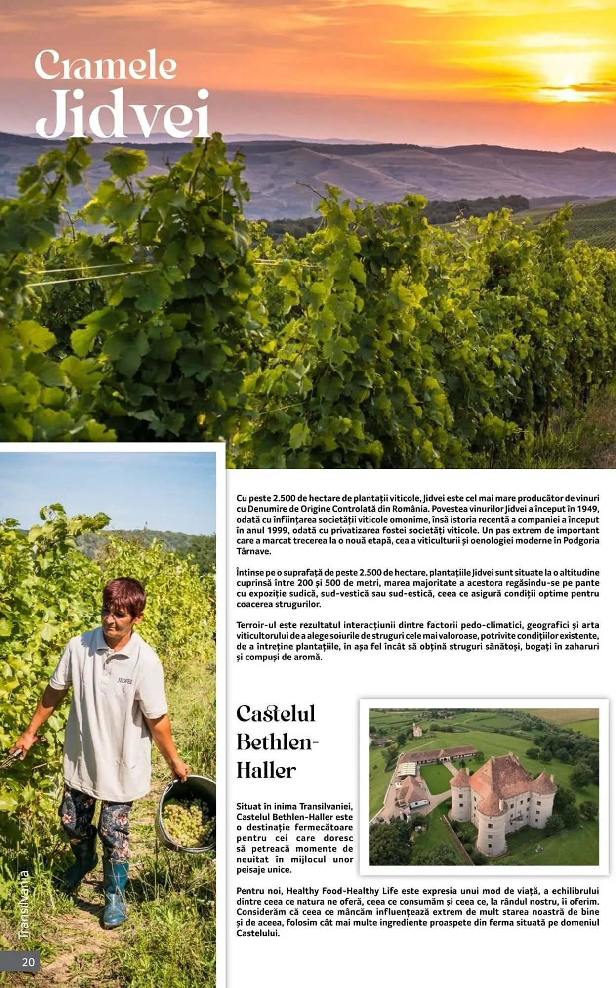 Catalog Catalog Selgros de la 1 octombrie până la 31 octombrie 2025 - Revista Pagina 20