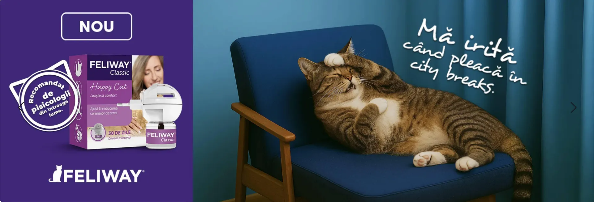 Catalog Magazine Animax de la 8 ianuarie până la 11 ianuarie 2026 - Revista Pagina 6