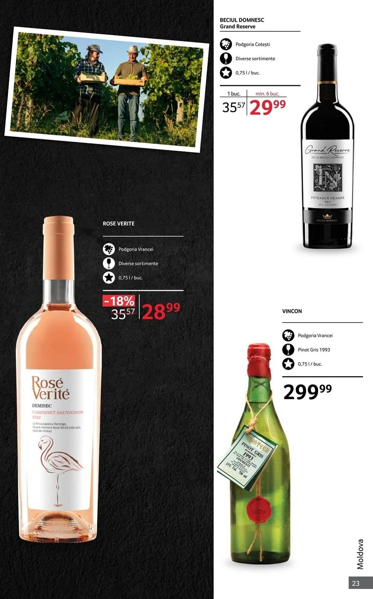 Catalog Catalog Selgros de la 1 octombrie până la 31 octombrie 2025 - Revista Pagina 23