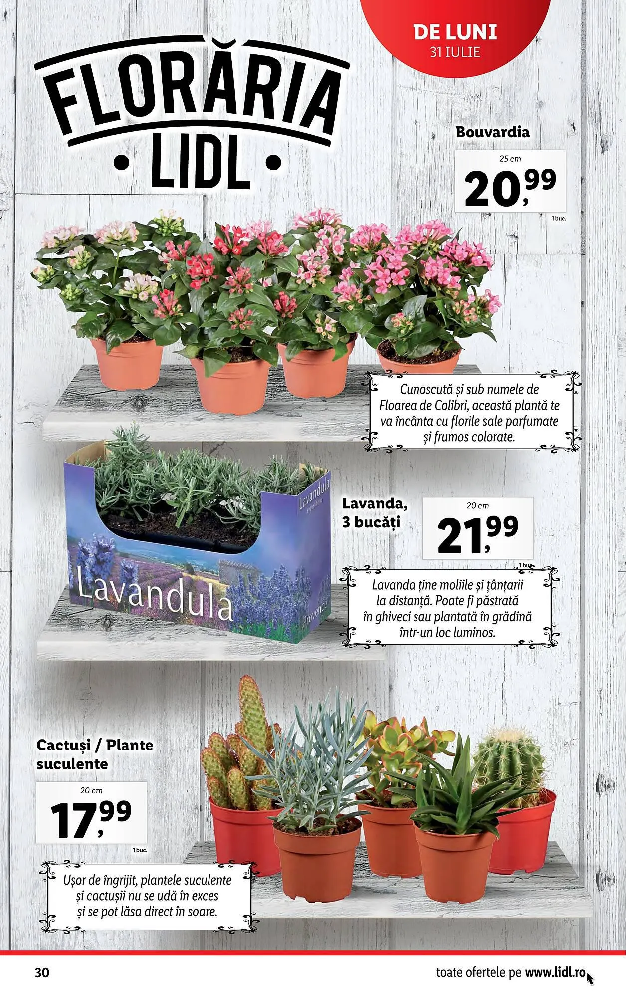 Catalog Lidl catalog de la 31 iulie până la 6 august 2023 - Revista Pagina 30