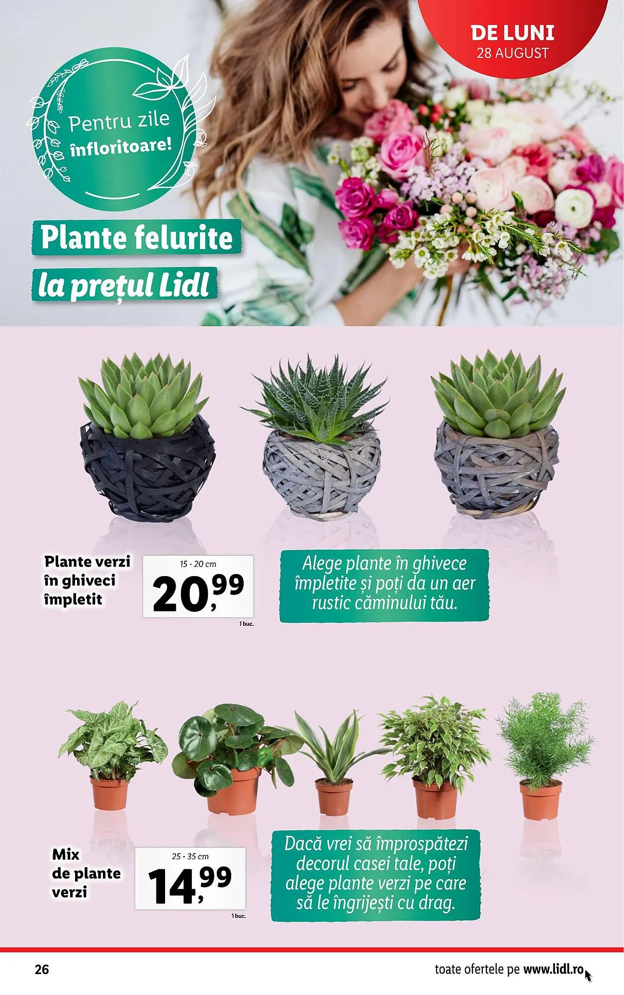 Catalog Lidl catalog de la 28 august până la 3 septembrie 2023 - Revista Pagina 26