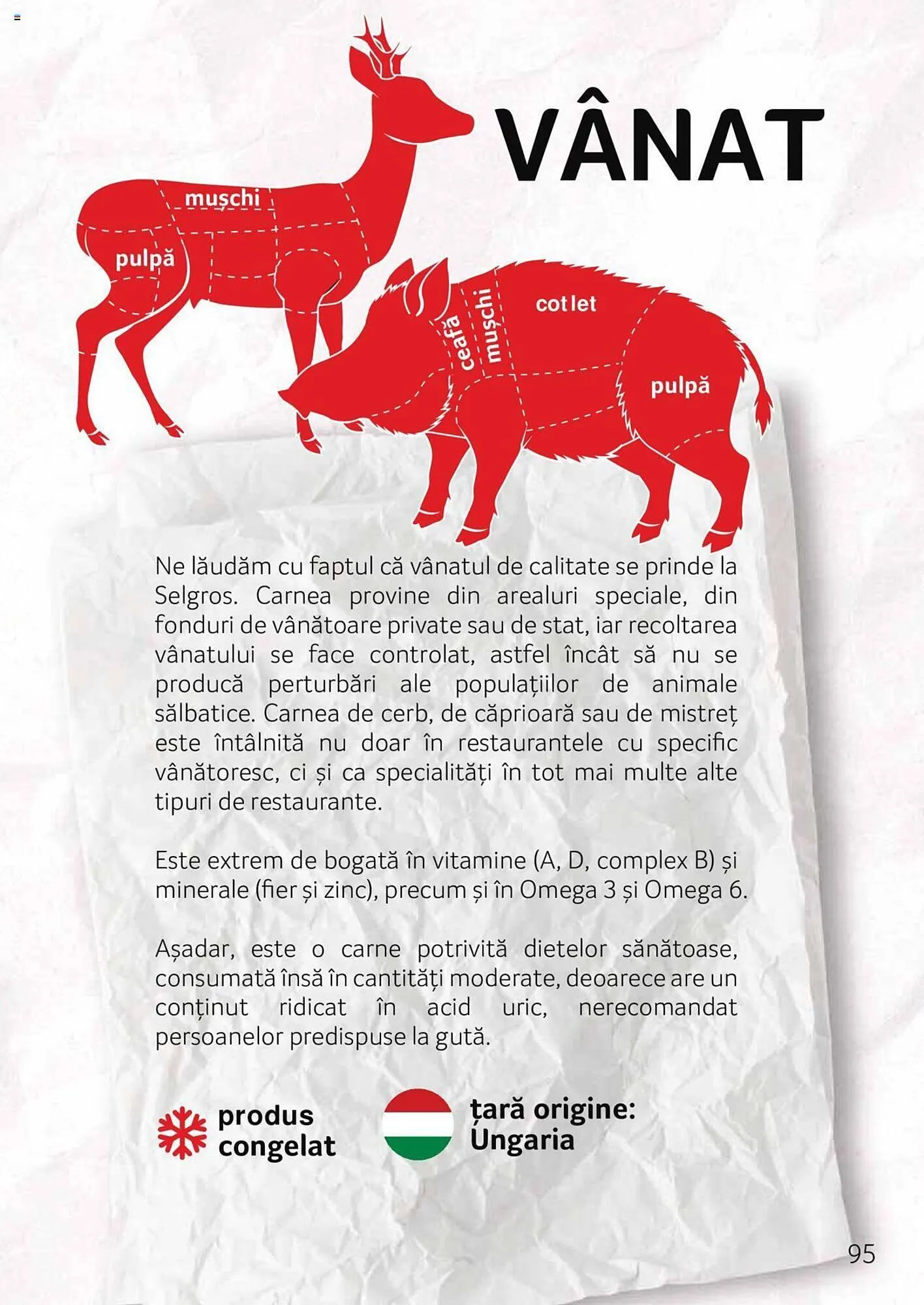 Catalog Selgros catalog de la 27 aprilie până la 31 decembrie 2023 - Revista Pagina 95