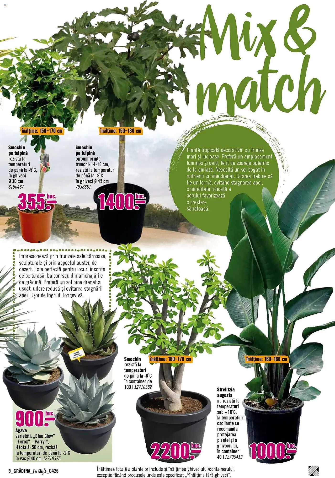 Catalog Magazine Hornbach de la 5 aprilie până la 31 mai 2026 - Revista Pagina 5