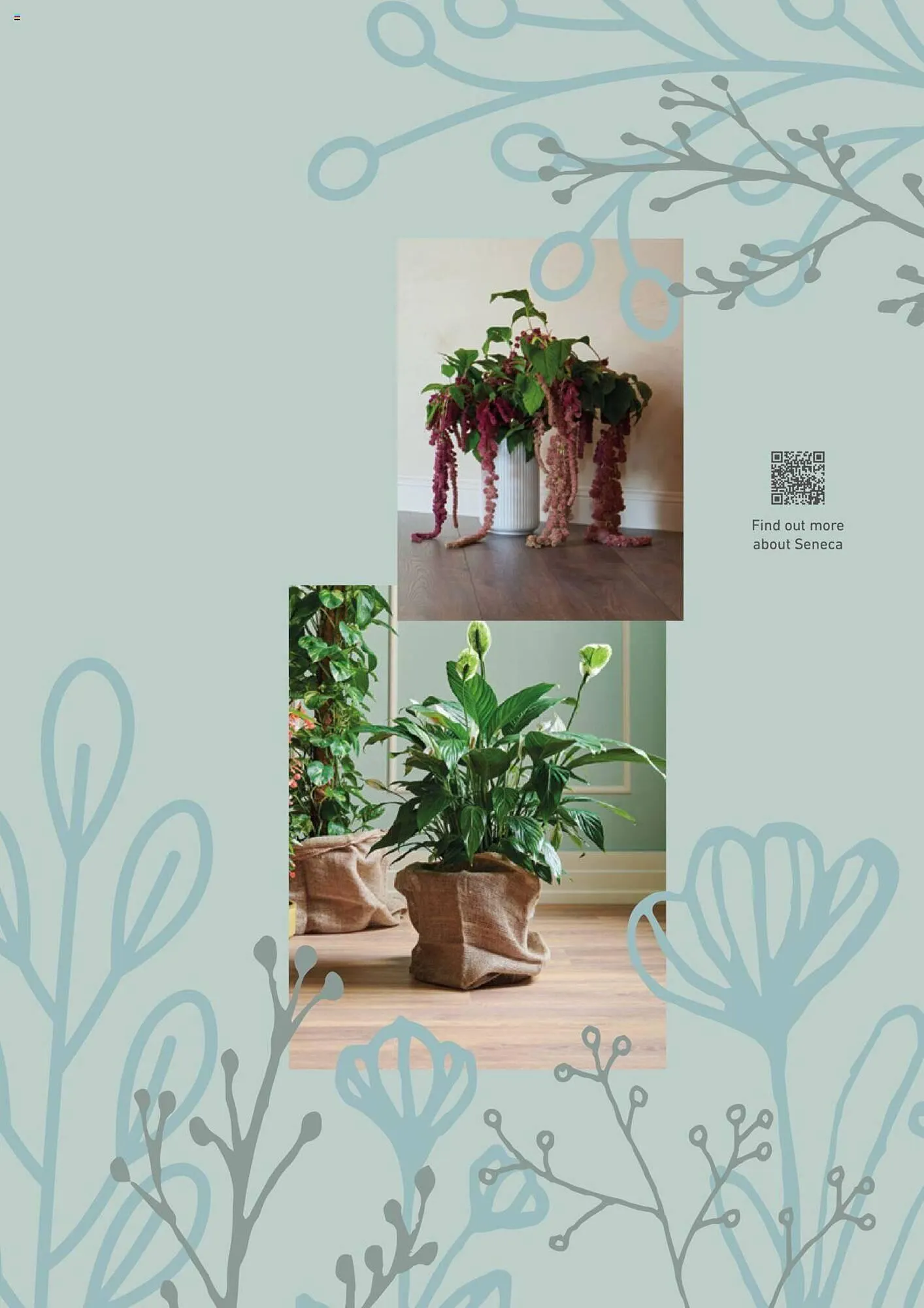 Catalog Proges catalog de la 5 aprilie până la 31 decembrie 2023 - Revista Pagina 17