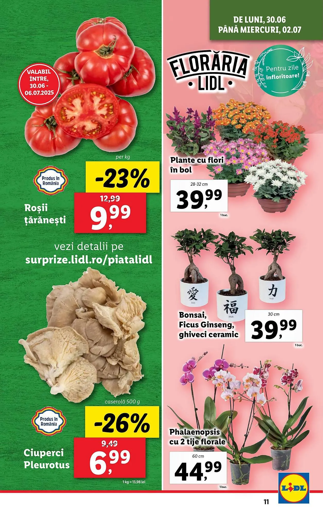 Catalog Catalog Lidl de la 30 iunie până la 6 iulie 2025 - Revista Pagina 11