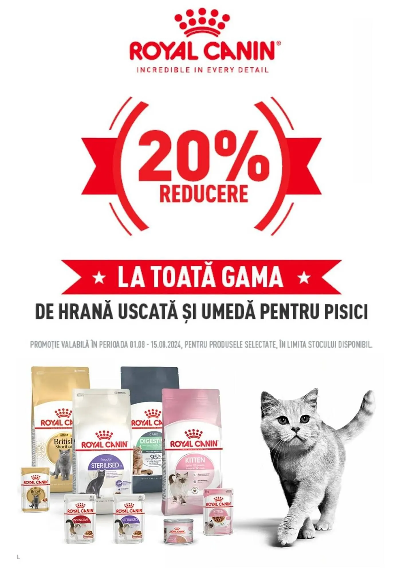 Catalog Catalog Animax de la 1 august până la 1 septembrie 2024 - Revista Pagina 17