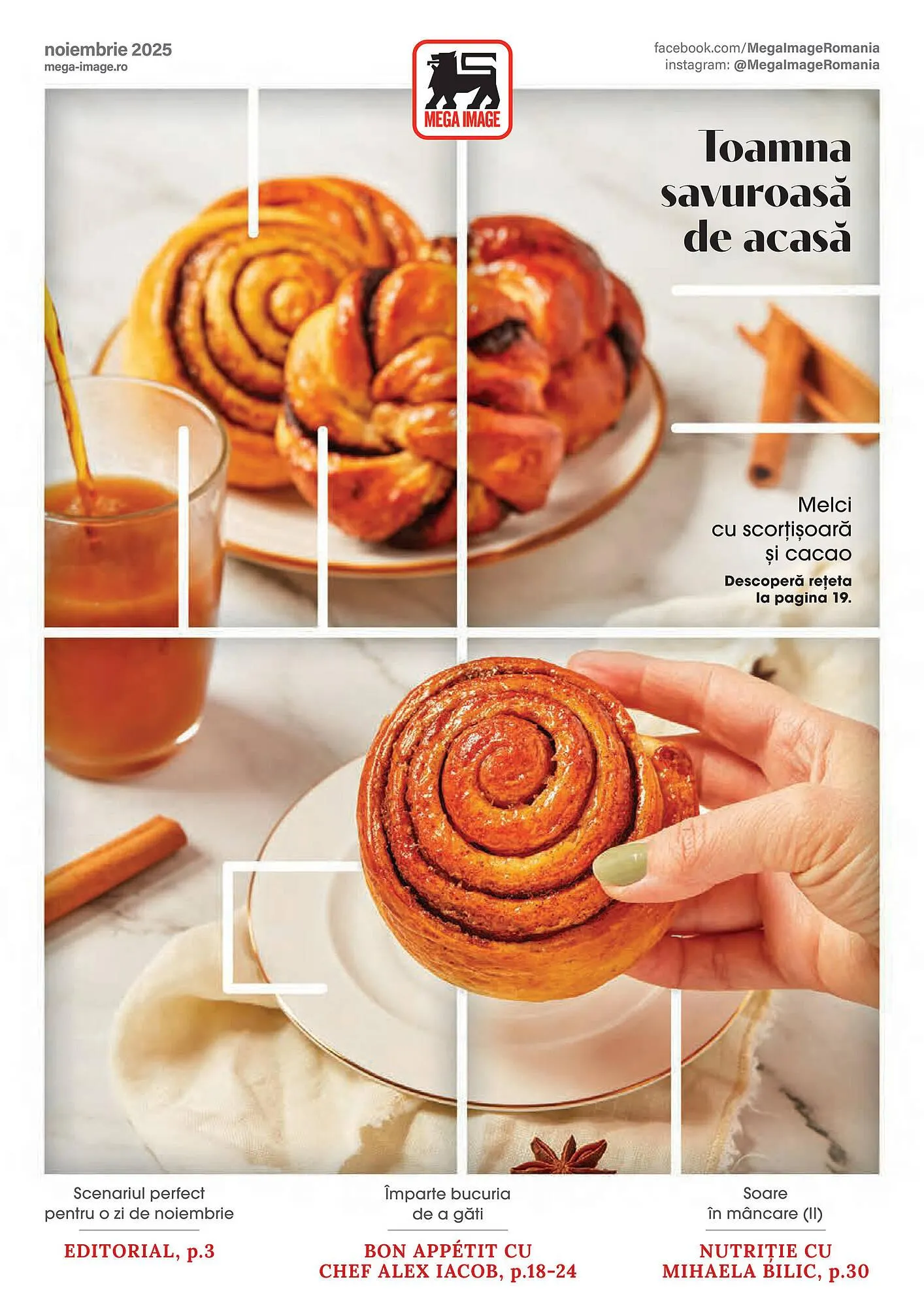 Catalog Mega Image - 1