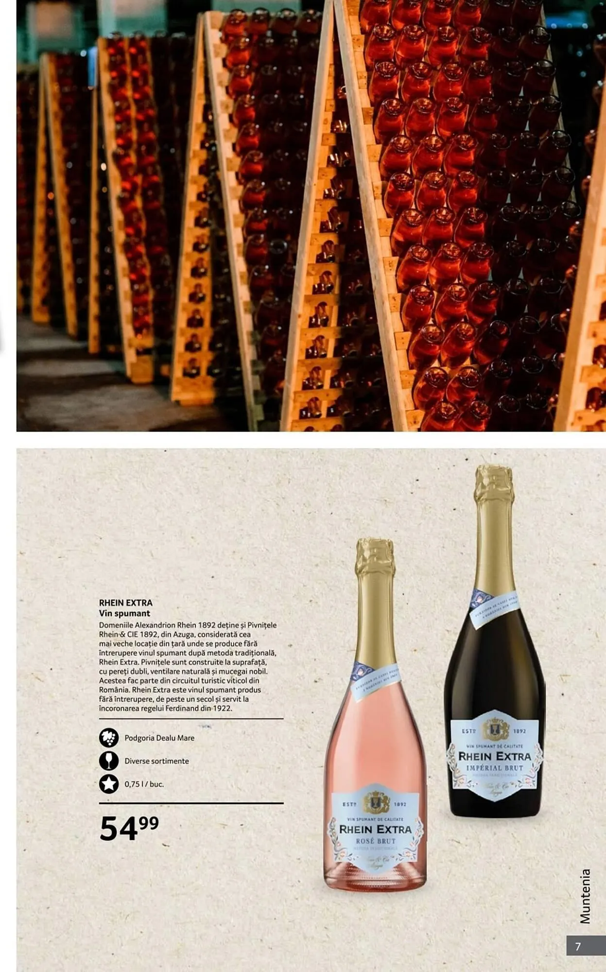 Catalog Catalog Selgros de la 1 octombrie până la 31 octombrie 2025 - Revista Pagina 7