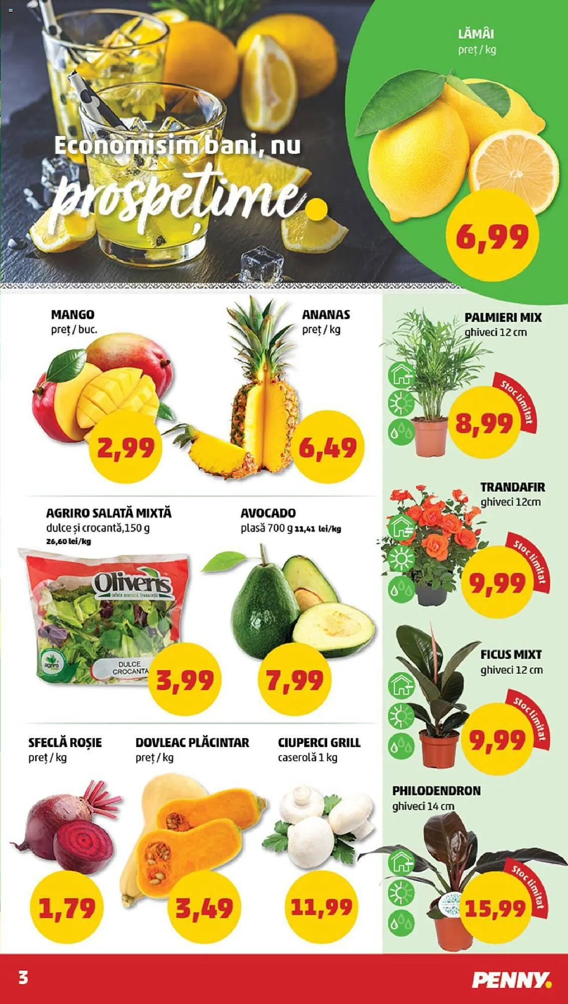 Catalog Penny catalog de la 23 august până la 29 august 2023 - Revista Pagina 3