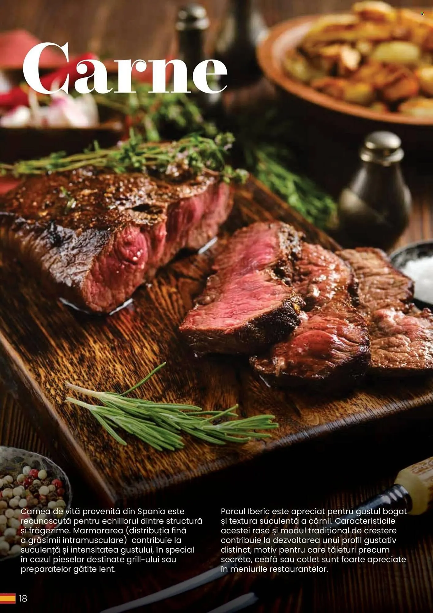 Catalog Catalog Metro de la 30 martie până la 31 decembrie 2026 - Revista Pagina 18