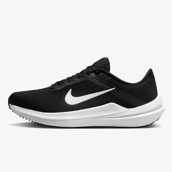 Nike Pantofi Sport Winflo 10