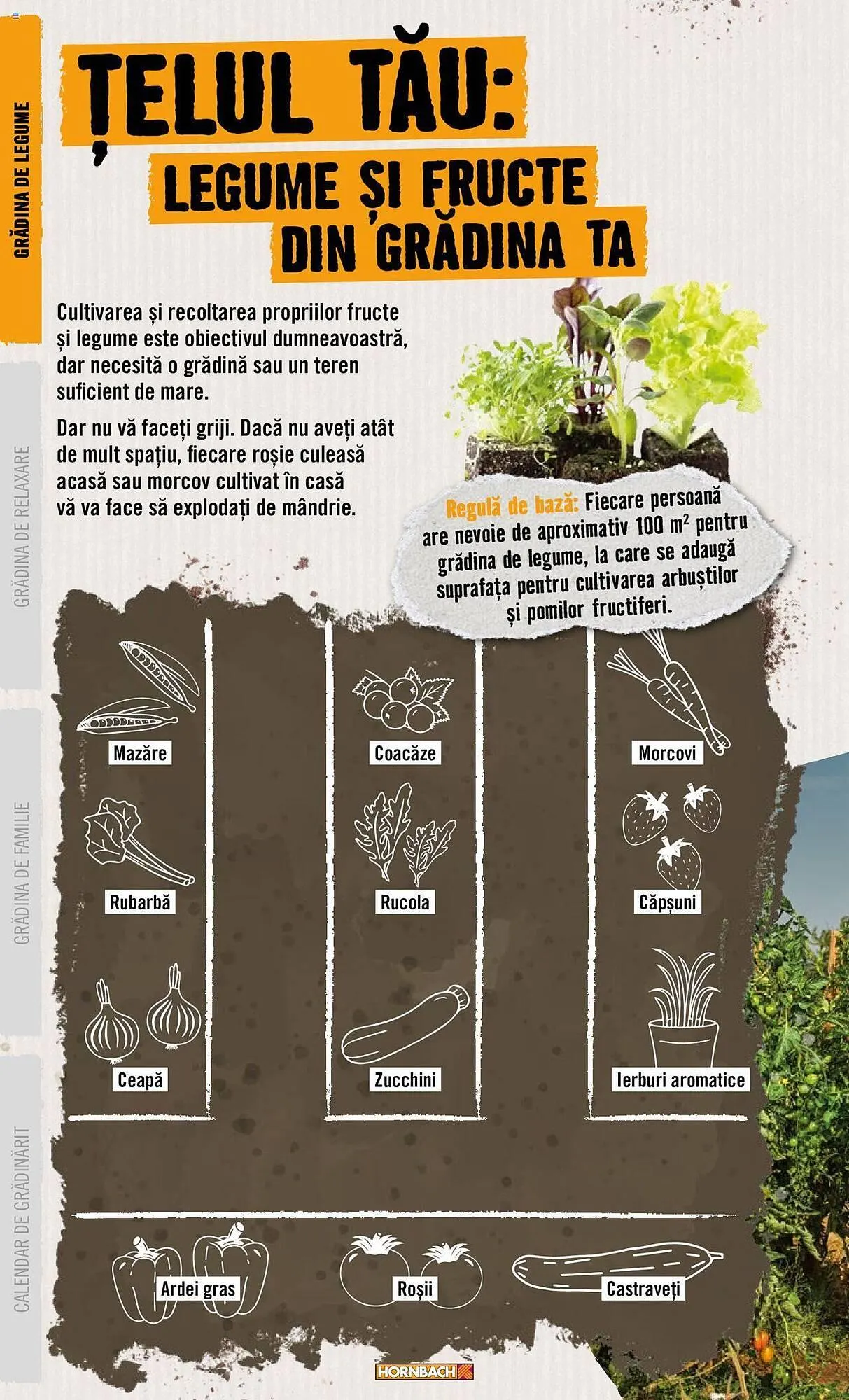 Catalog Сatalog Hornbach de la 22 aprilie până la 31 decembrie 2024 - Revista Pagina 6