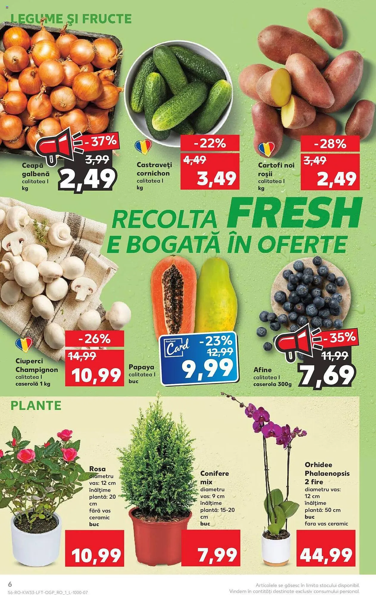 Catalog Kaufland catalog de la 16 august până la 22 august 2023 - Revista Pagina 6