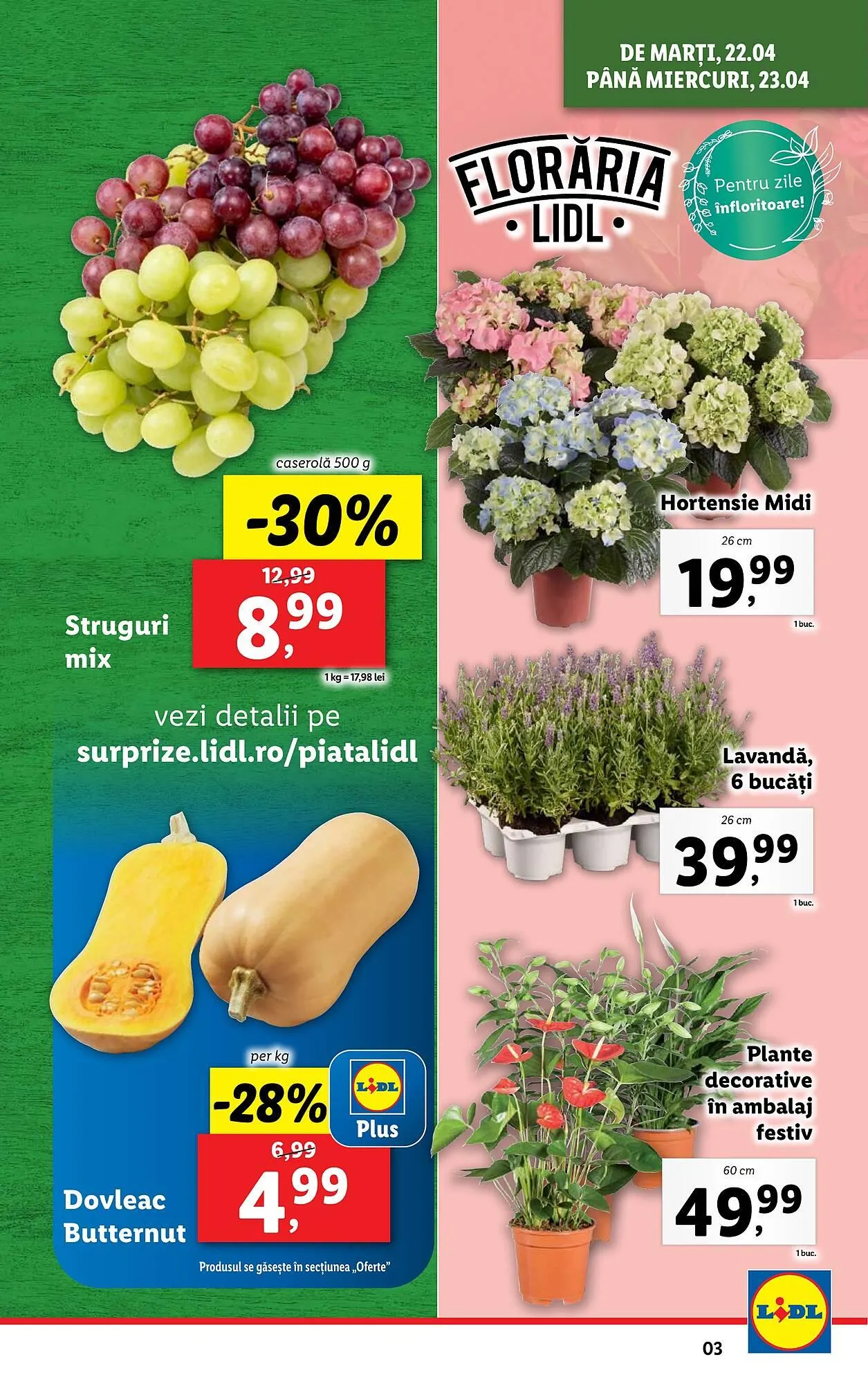 Catalog Catalog Lidl de la 22 aprilie până la 27 aprilie 2025 - Revista Pagina 3