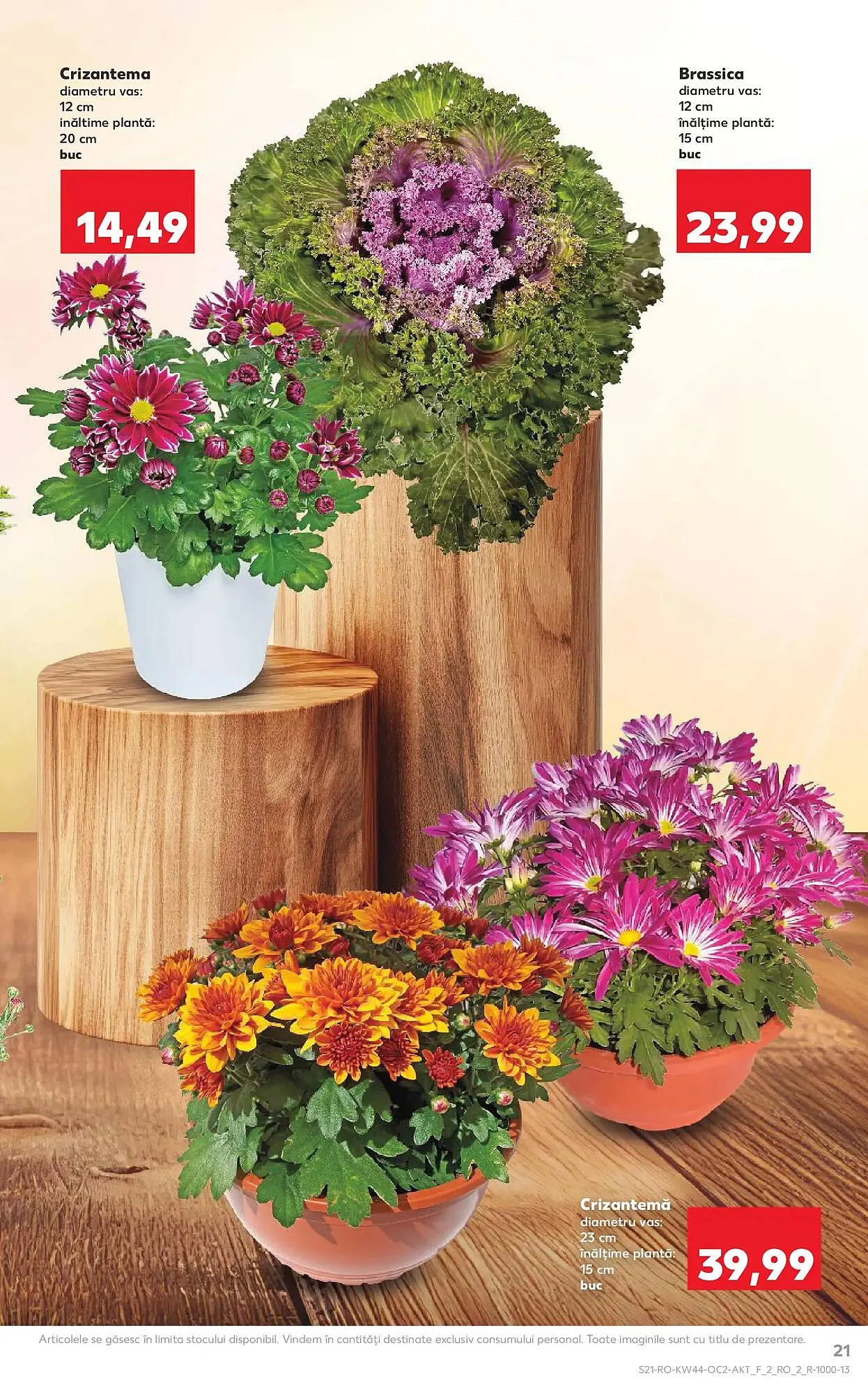 Catalog Catalog Kaufland de la 29 octombrie până la 4 noiembrie 2025 - Revista Pagina 21