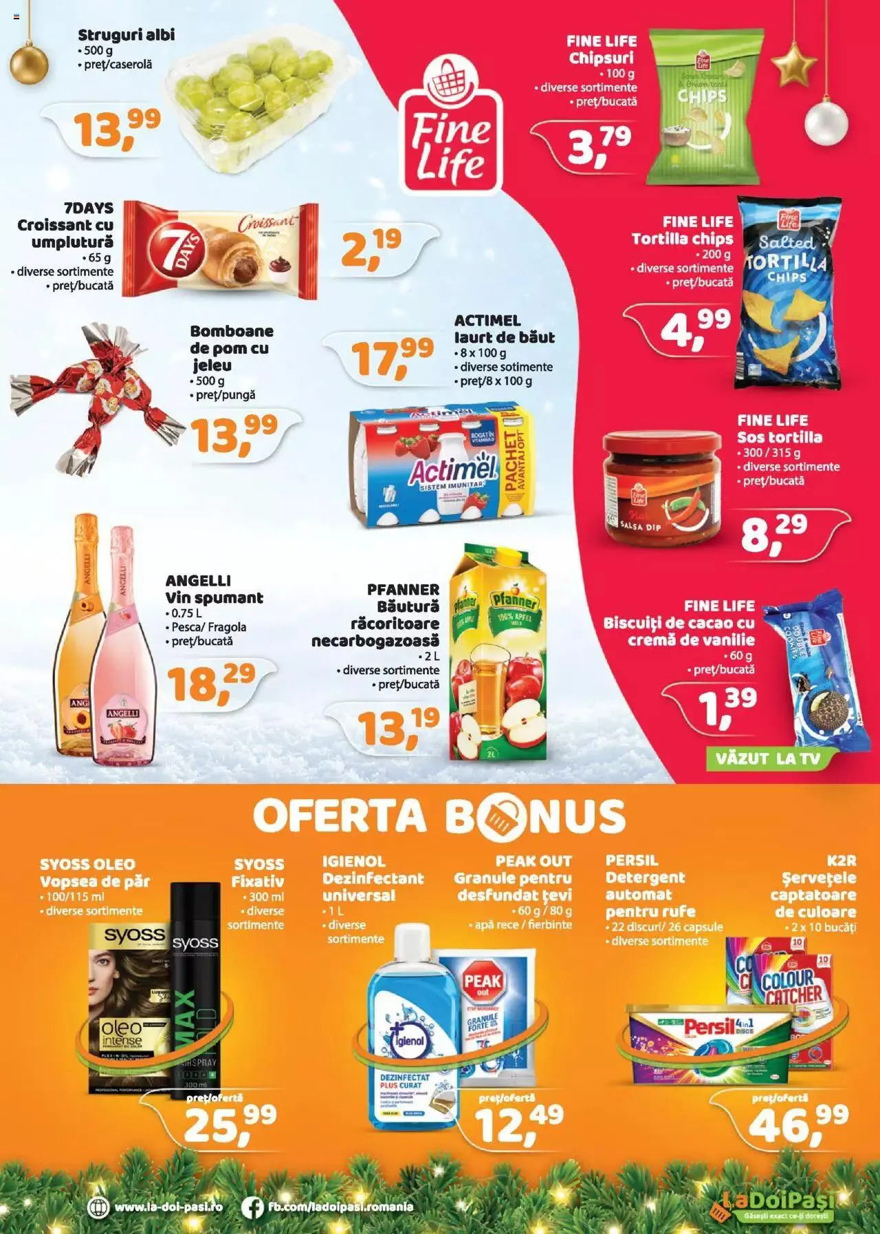 Catalog Catalog LaDoiPași de la 1 decembrie până la 1 ianuarie 2024 - Revista Pagina 3