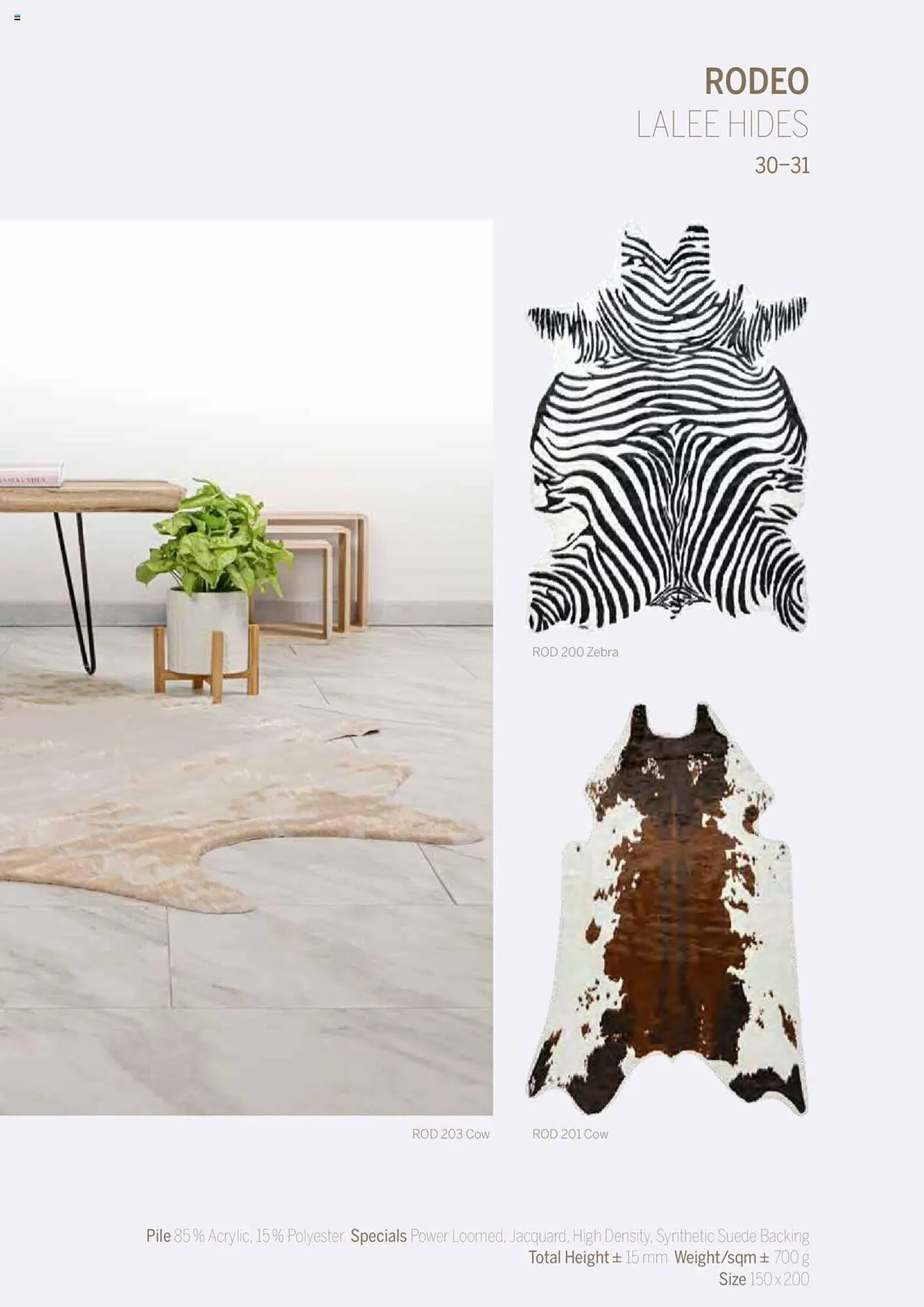 Catalog Proges catalog de la 31 ianuarie până la 31 decembrie 2024 - Revista Pagina 31