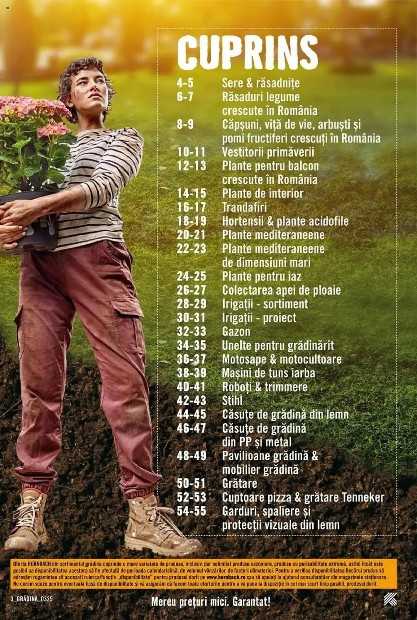 Catalog Catalog Hornbach de la 17 martie până la 25 aprilie 2025 - Revista Pagina 3