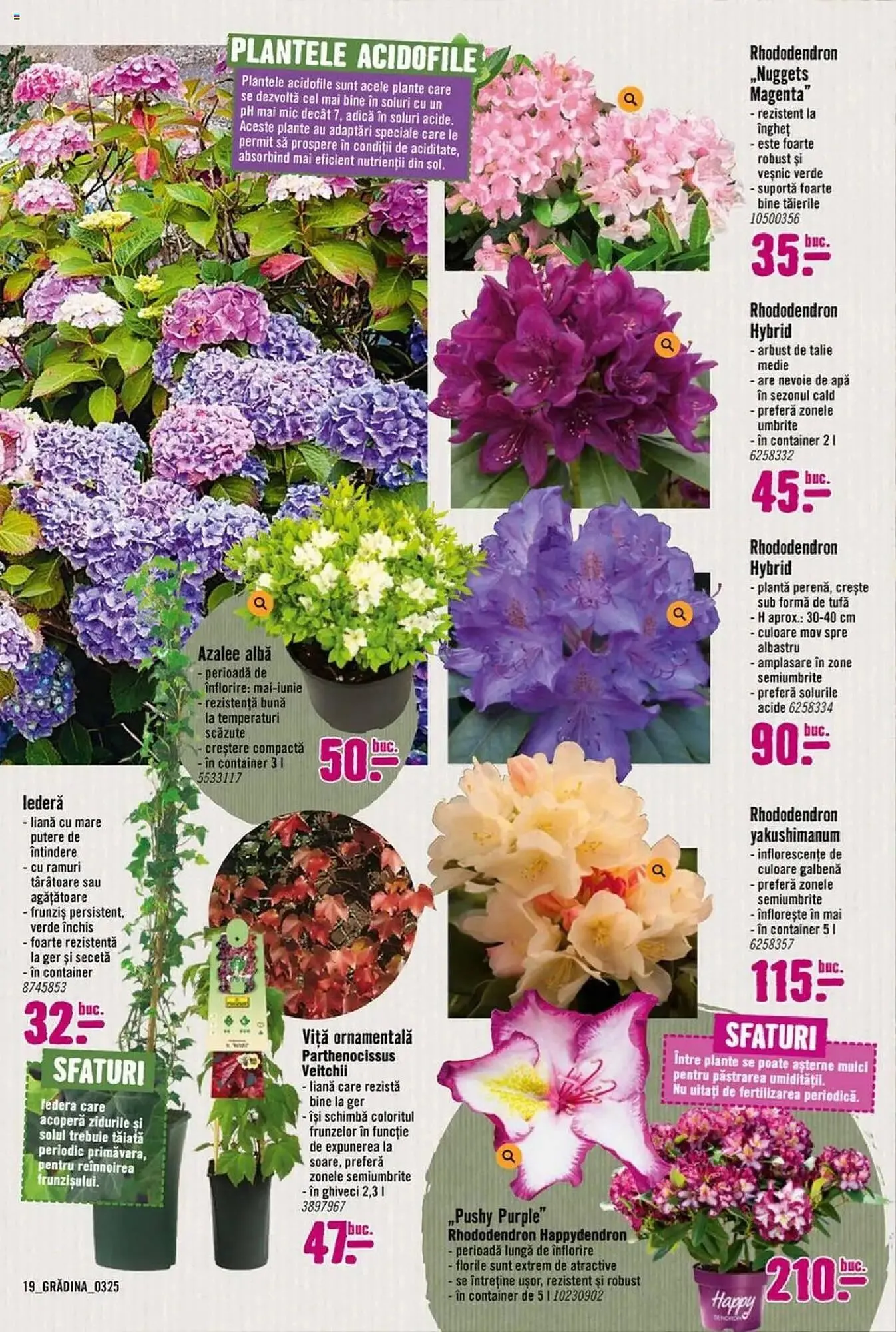 Catalog Catalog Hornbach de la 17 martie până la 25 aprilie 2025 - Revista Pagina 19