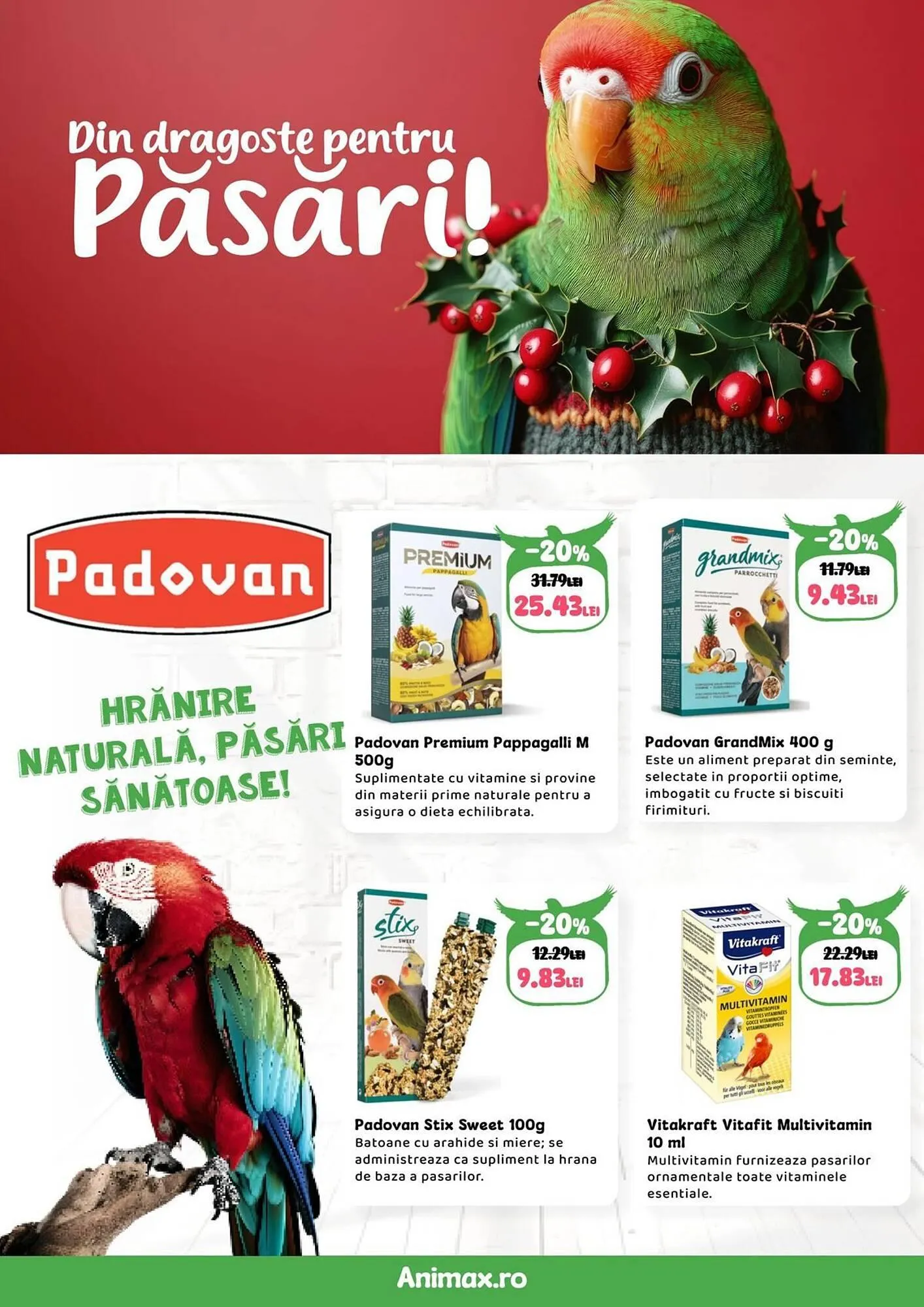 Catalog Magazine Animax de la 4 decembrie până la 4 ianuarie 2026 - Revista Pagina 26