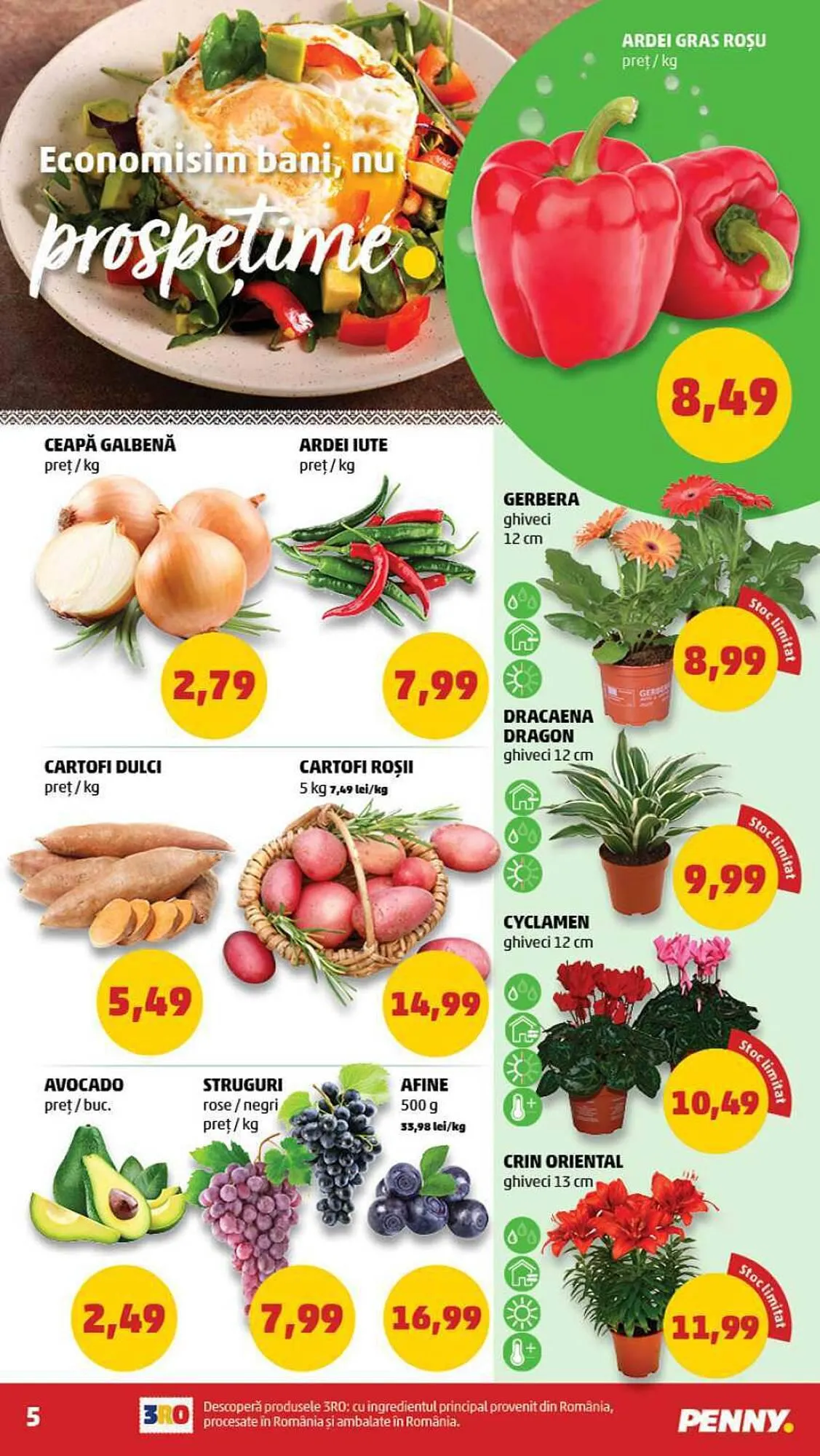 Catalog Penny catalog de la 16 august până la 22 august 2023 - Revista Pagina 5