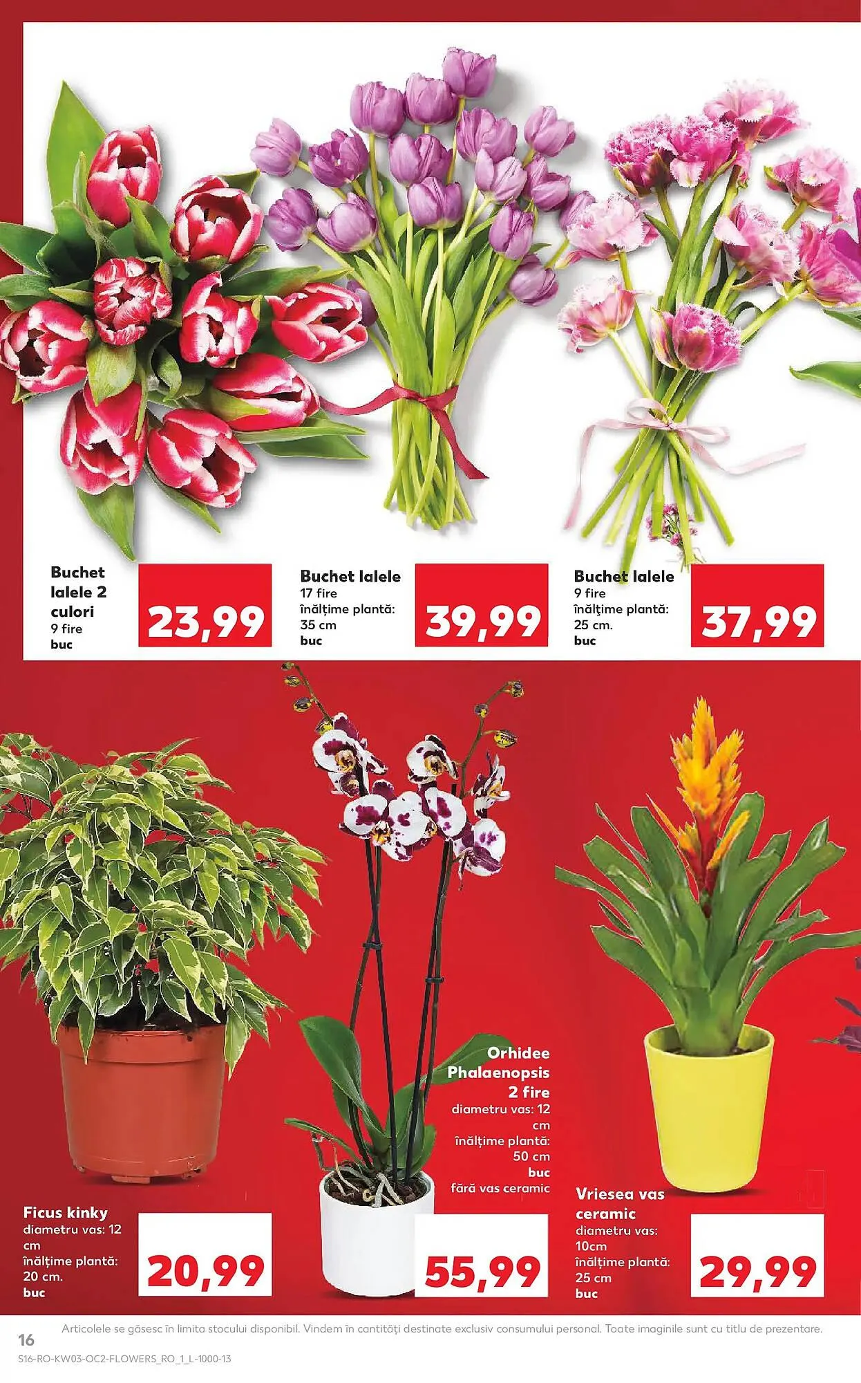 Catalog Catalog Kaufland de la 14 ianuarie până la 20 ianuarie 2026 - Revista Pagina 16