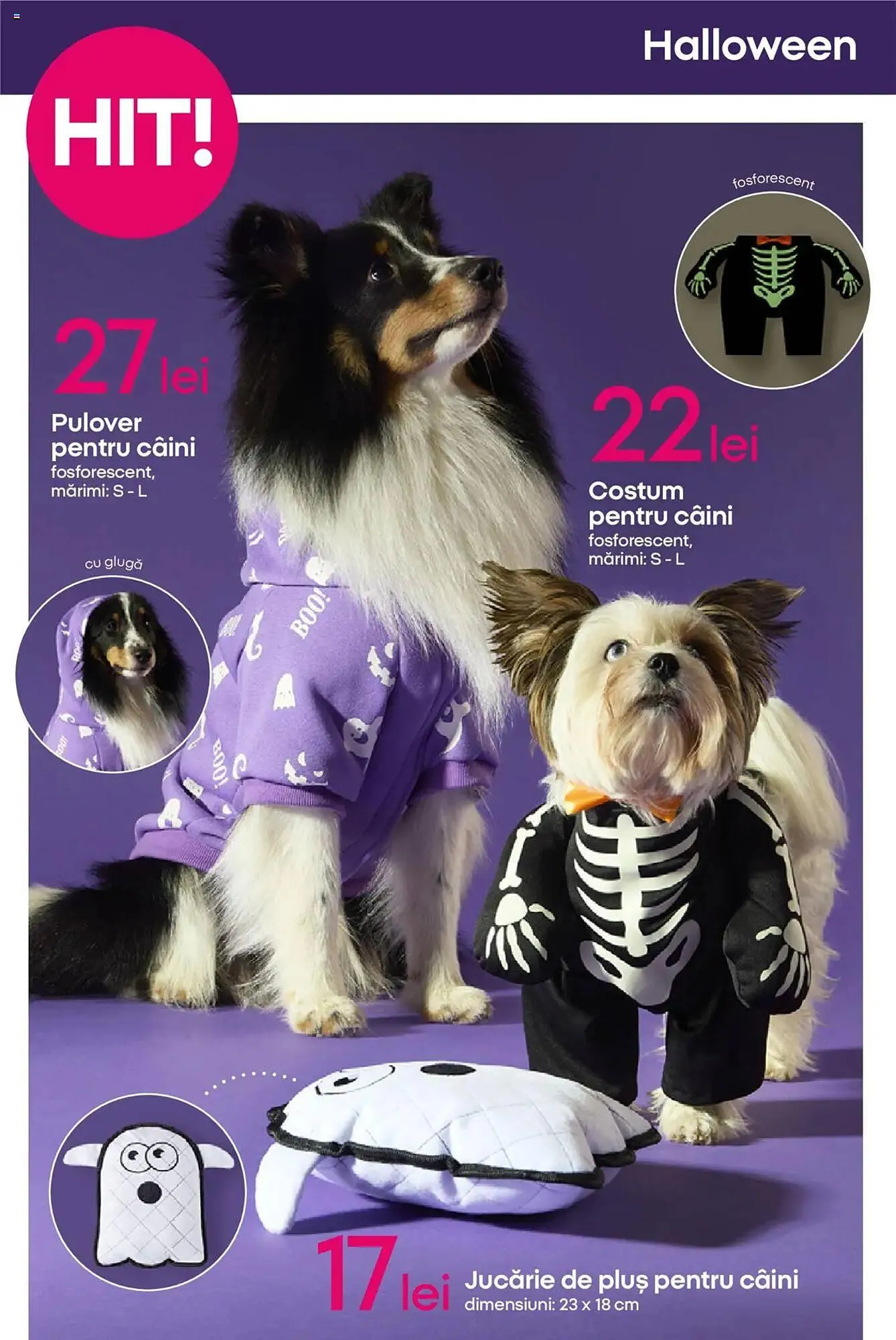 Catalog Catalog Pepco de la 24 septembrie până la 1 octombrie 2025 - Revista Pagina 12